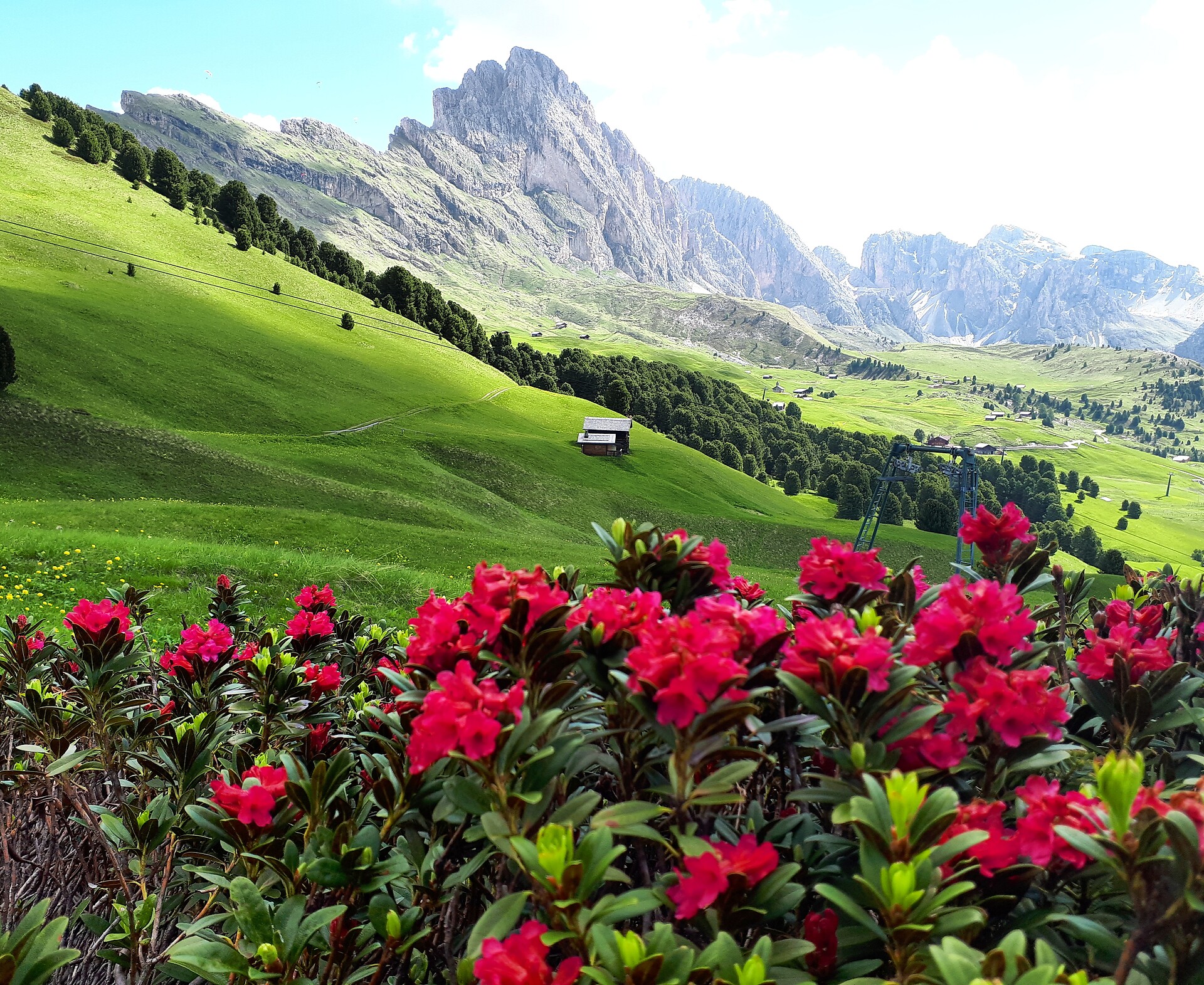 Hiking on Seceda