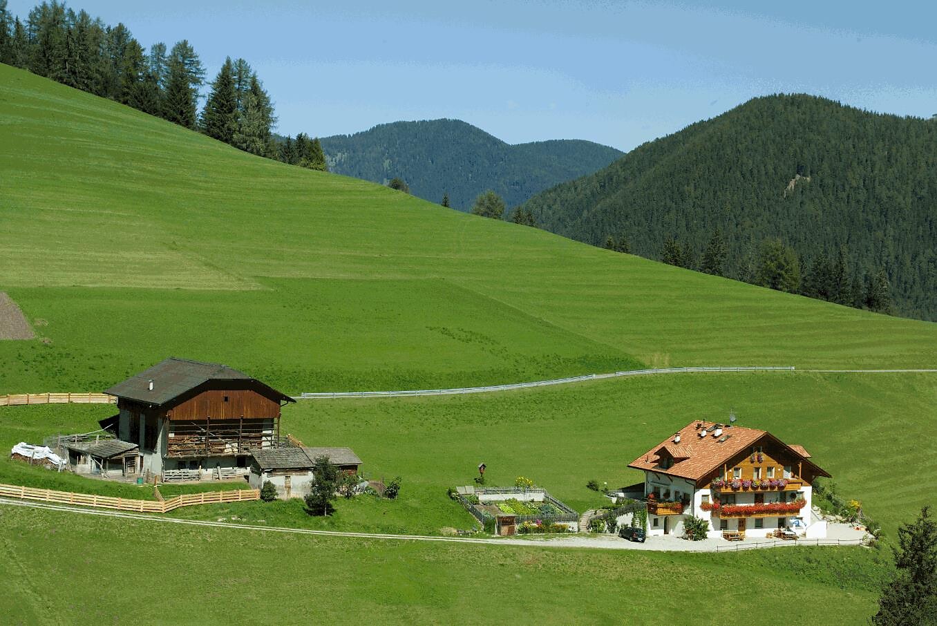 Bel Odëi