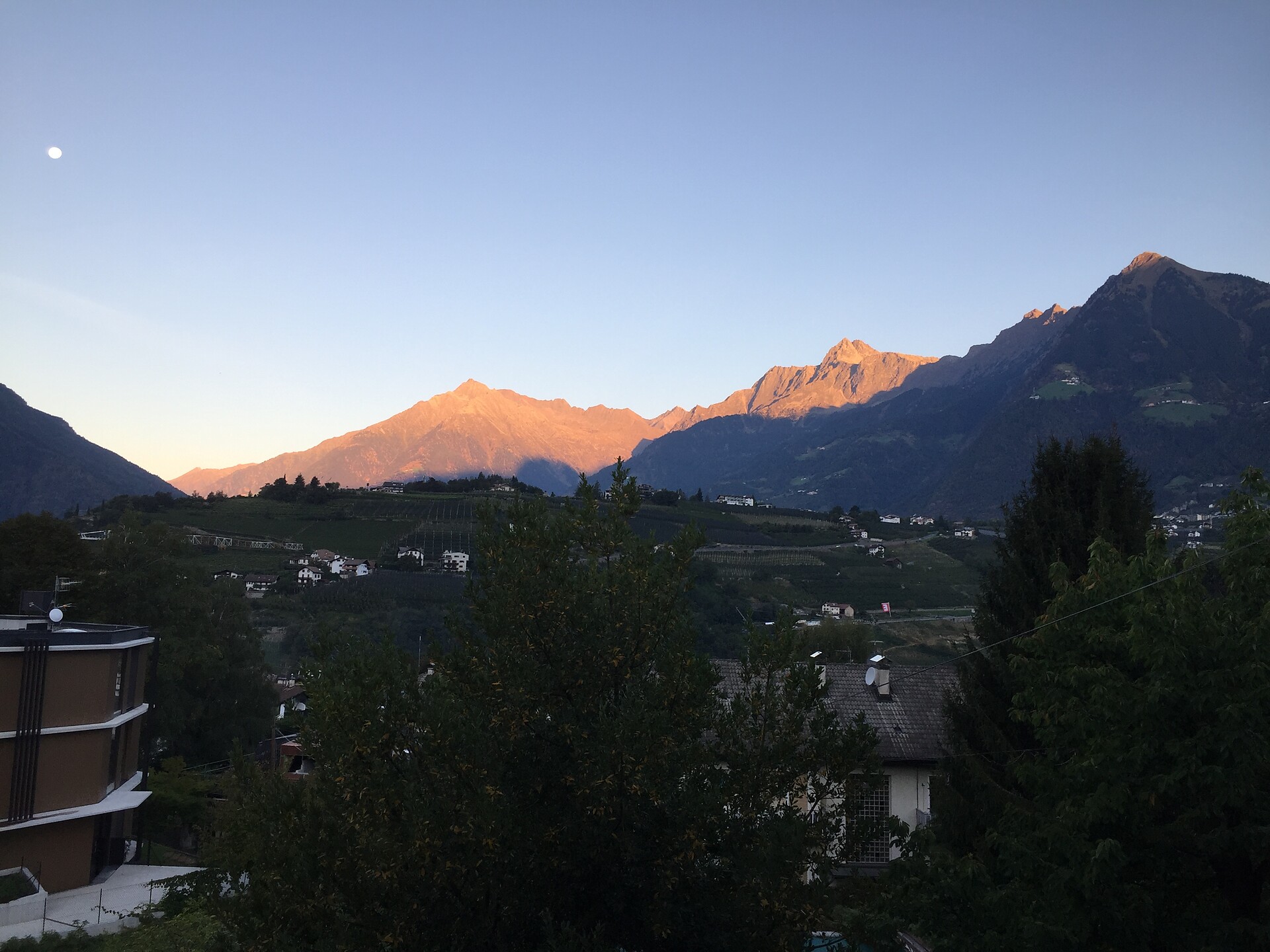 Sommer