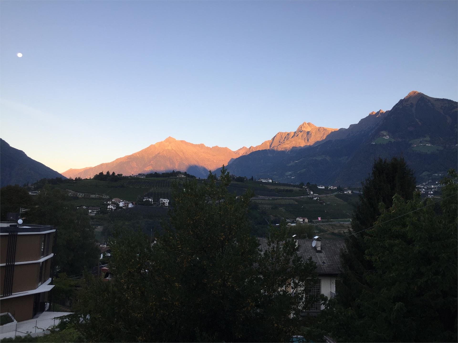 Appartment Mitterhofer Meran/Merano 2 suedtirol.info