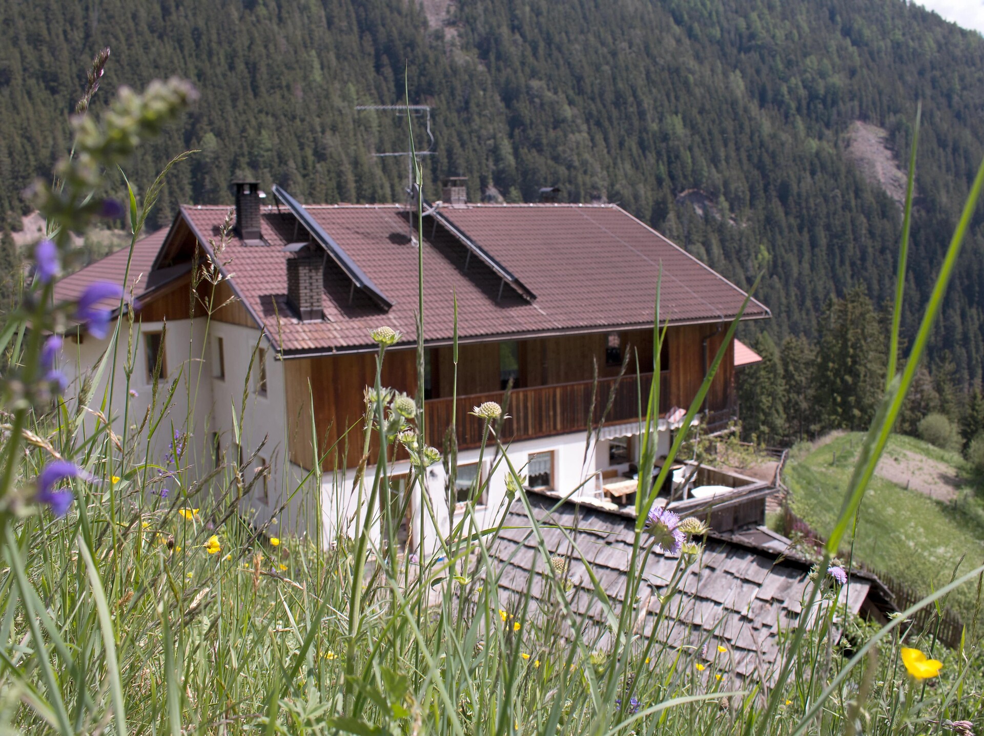 Maso Presti
