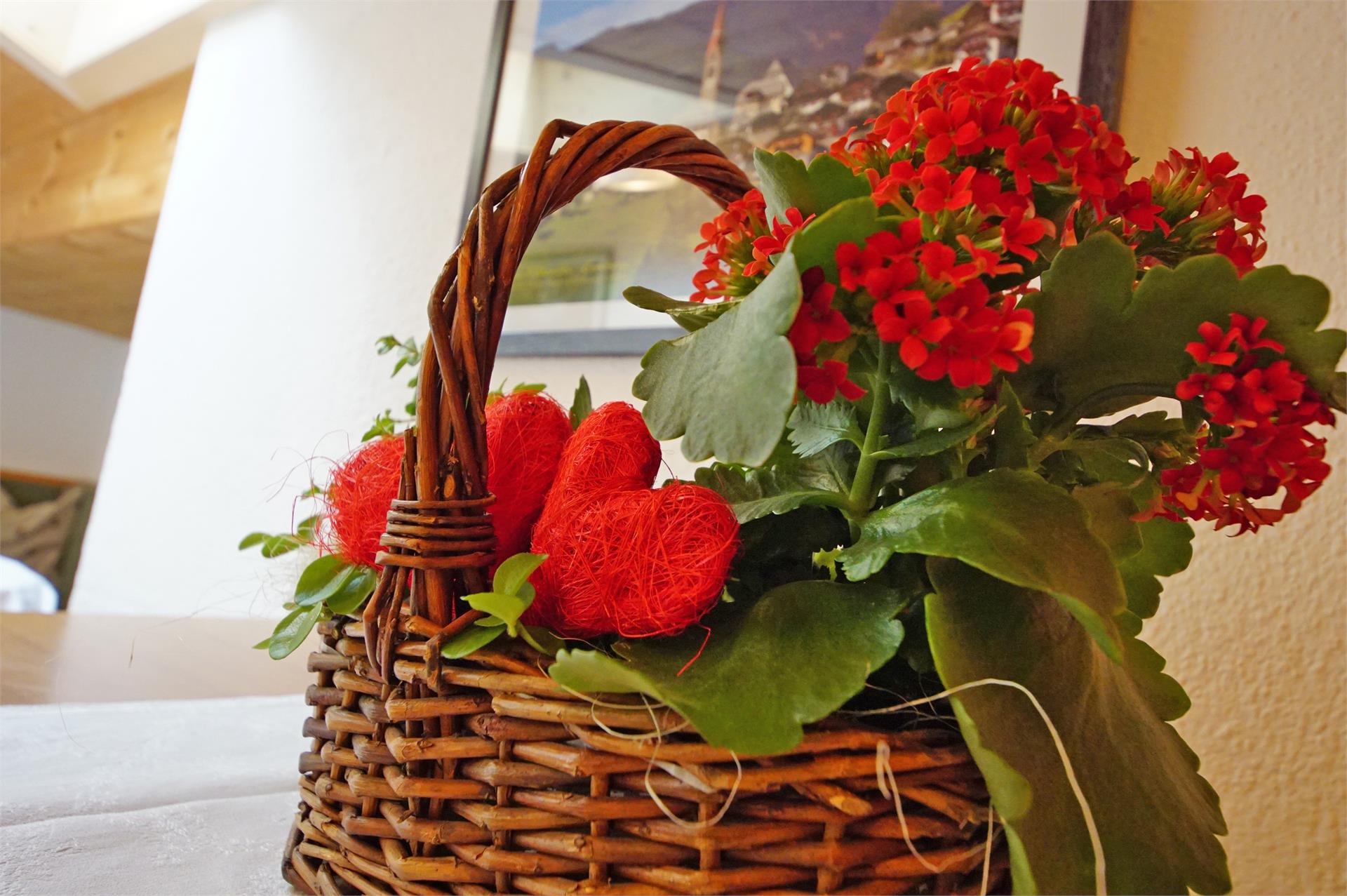 Apartments Insam Margot San Vigilio 17 suedtirol.info