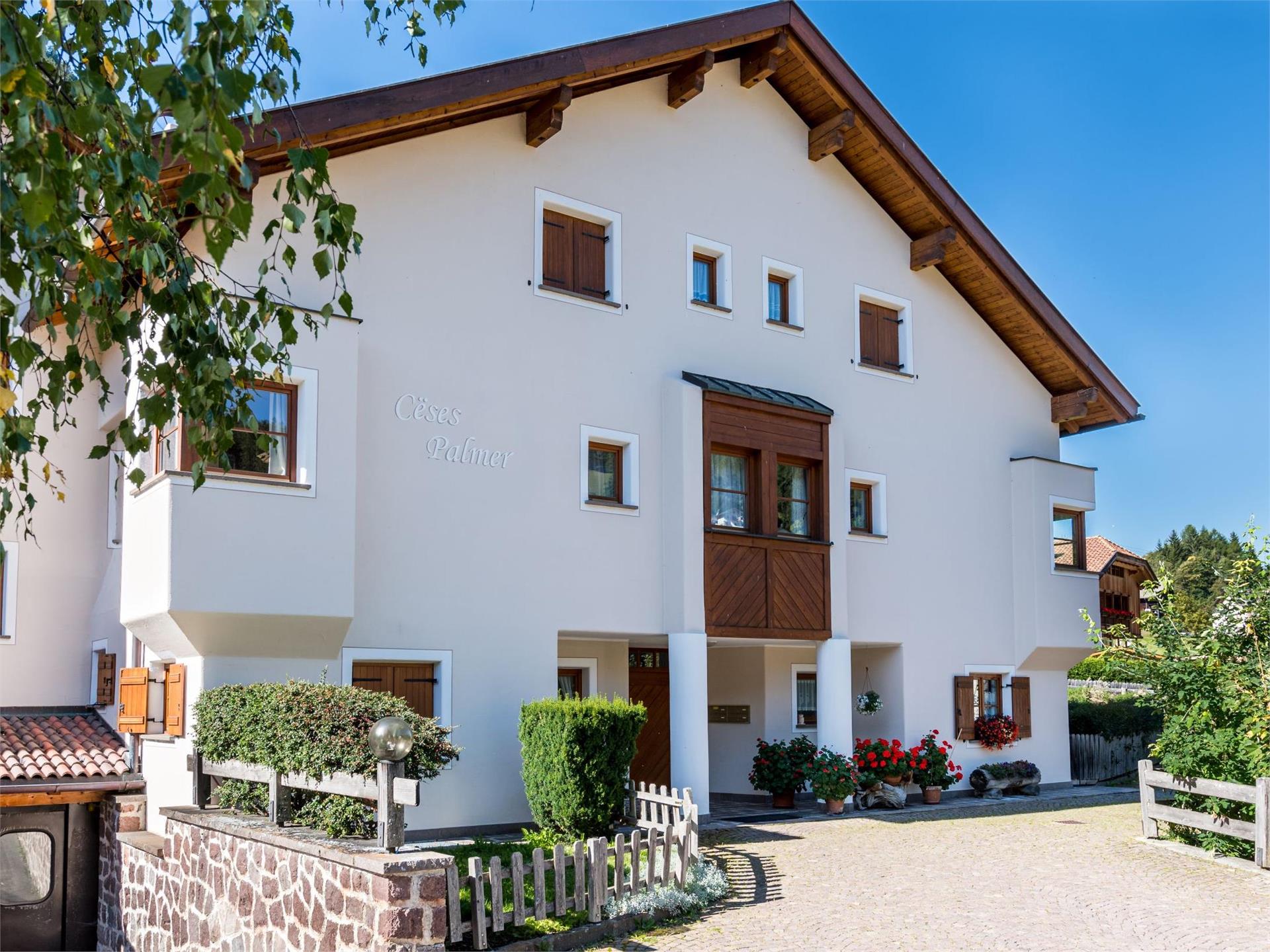 Apartments Palmer St.Ulrich 1 suedtirol.info