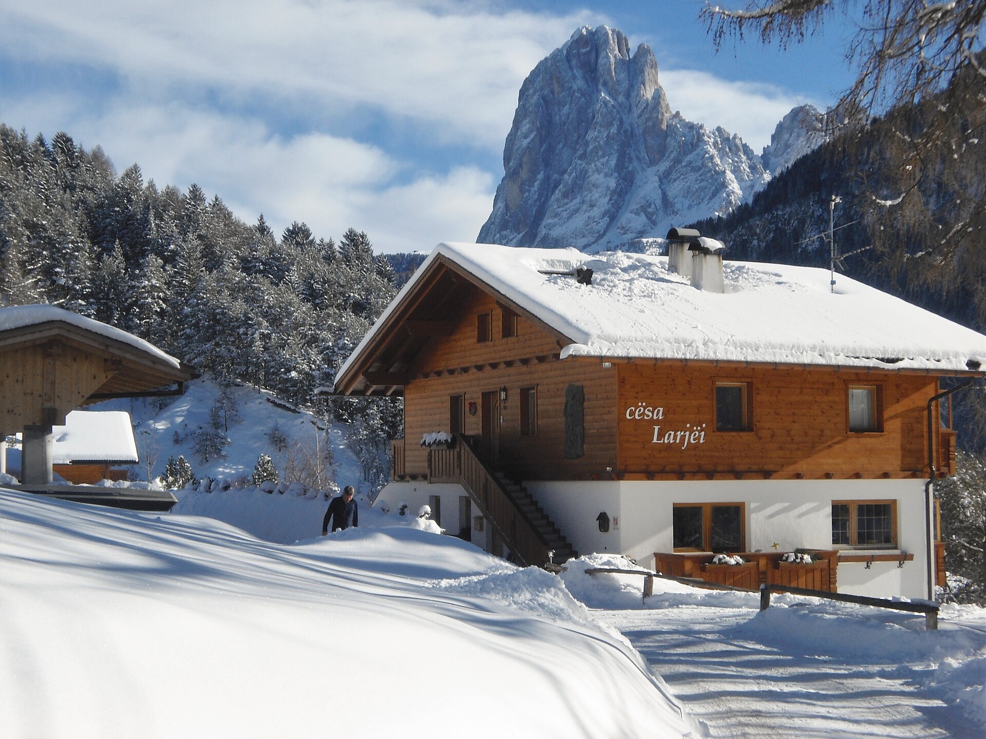 Apartment Cësa Larjëi