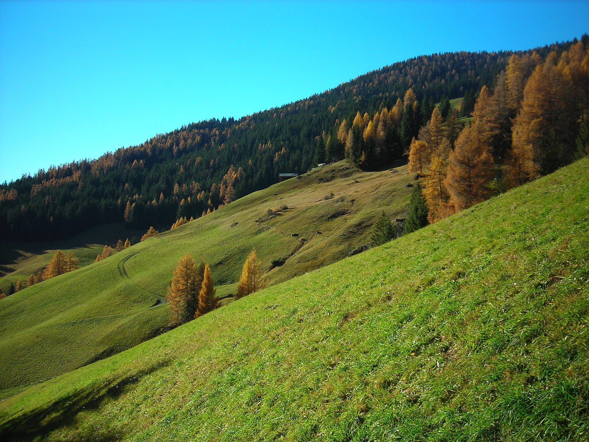 Panorama