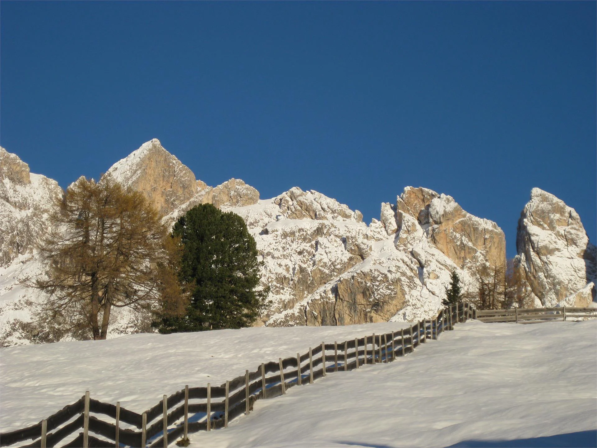 App. Gartl Tiers am Rosengarten 9 suedtirol.info