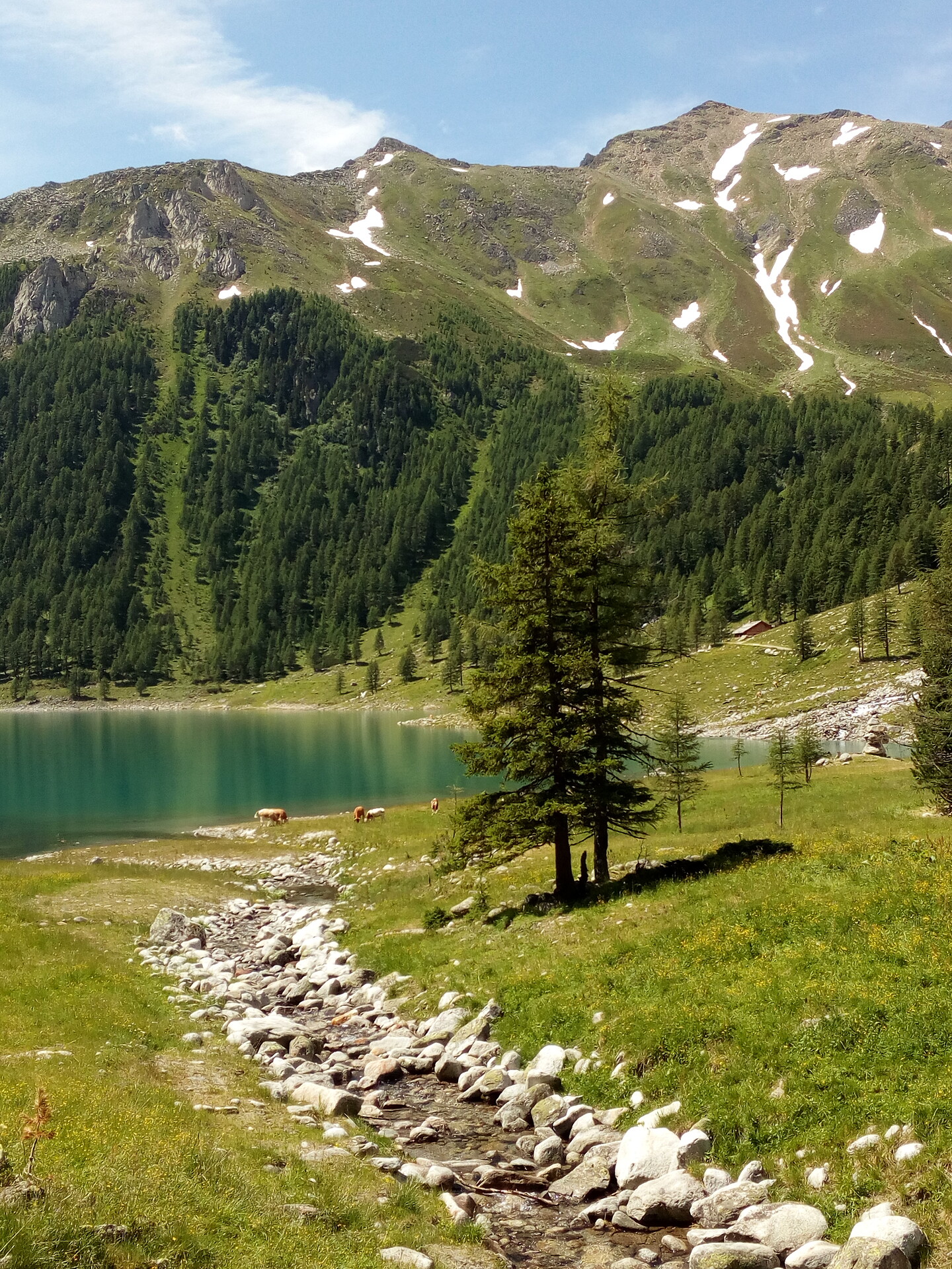 Lago