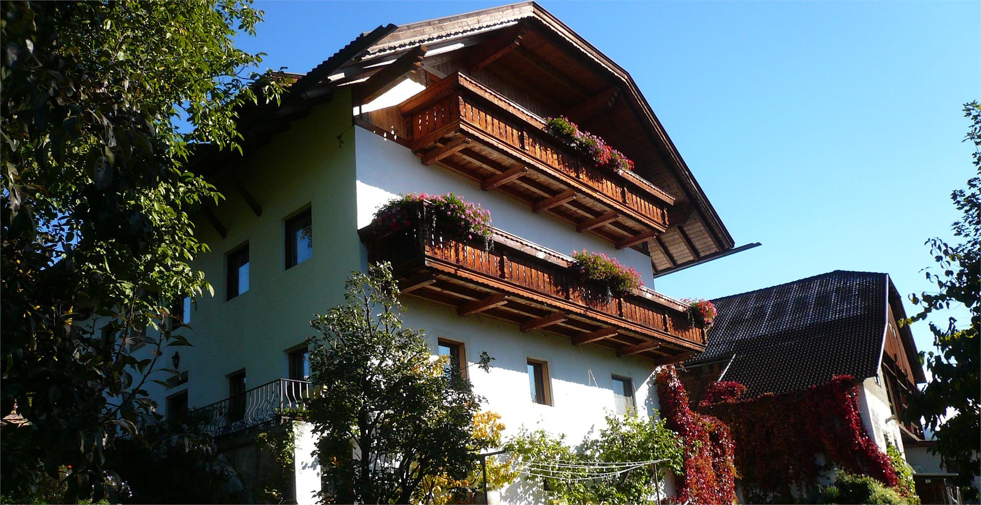 Alpeggerhof Pfalzen 5 suedtirol.info