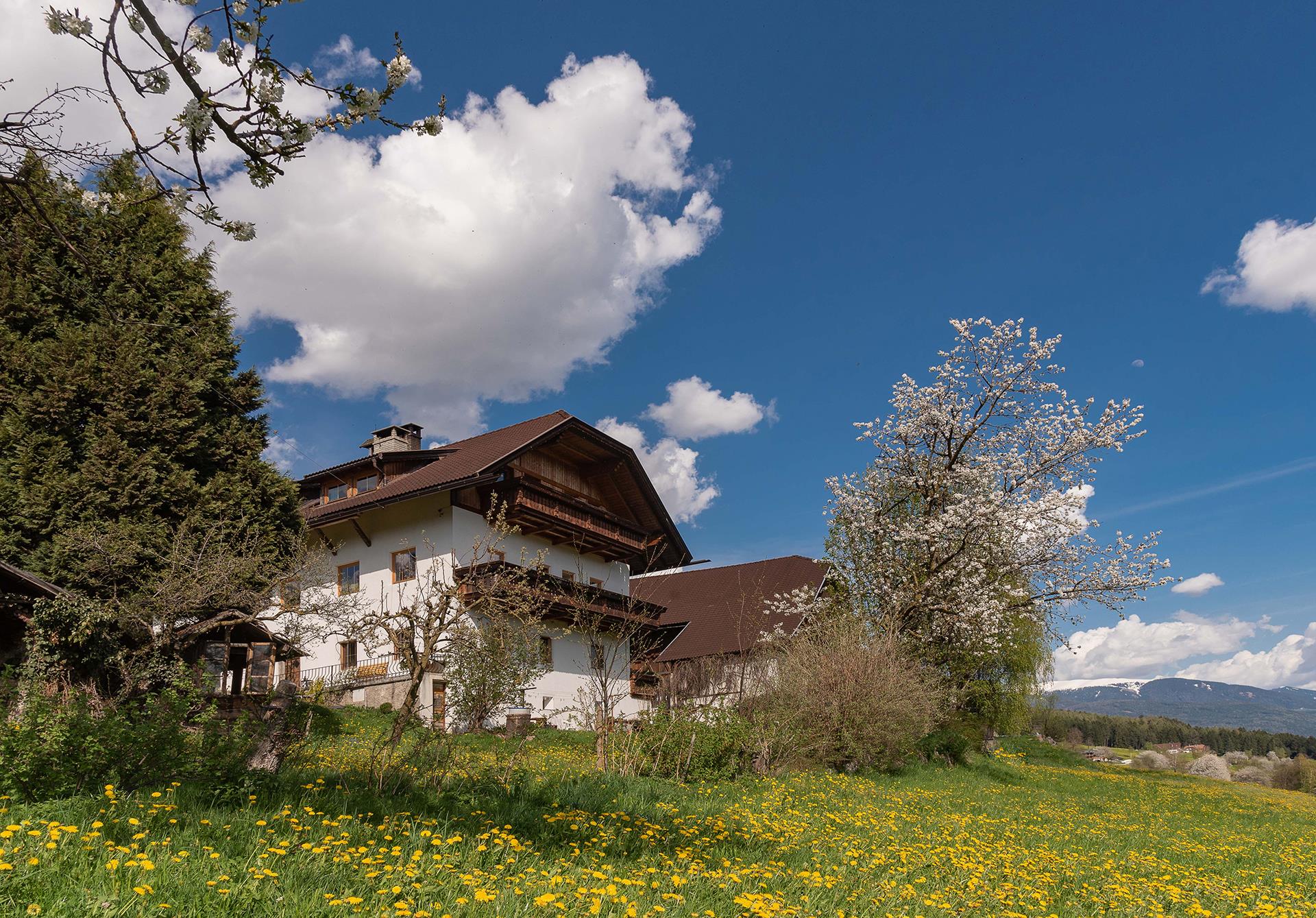 Alpeggerhof Pfalzen 1 suedtirol.info
