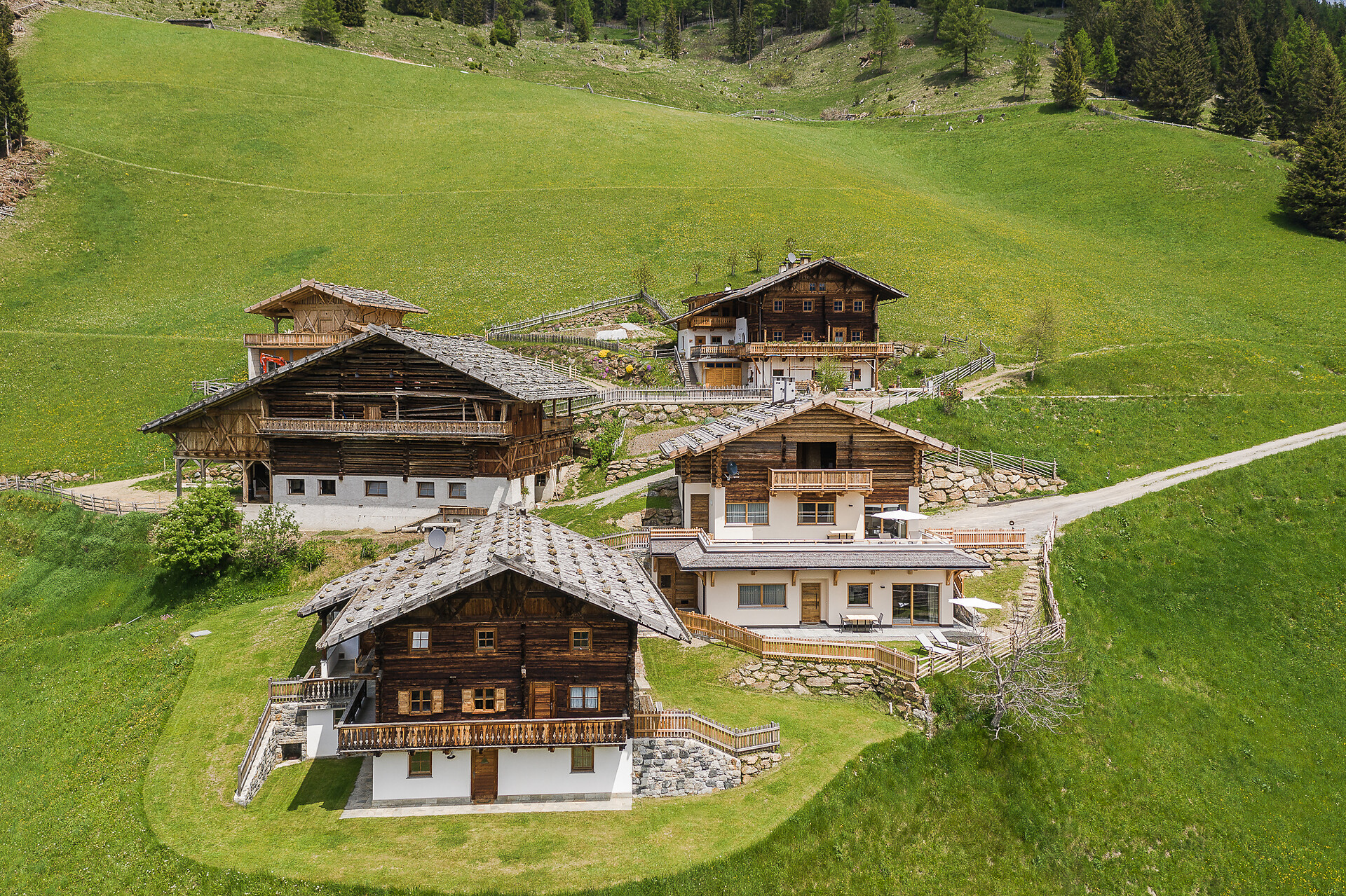 Alpinence