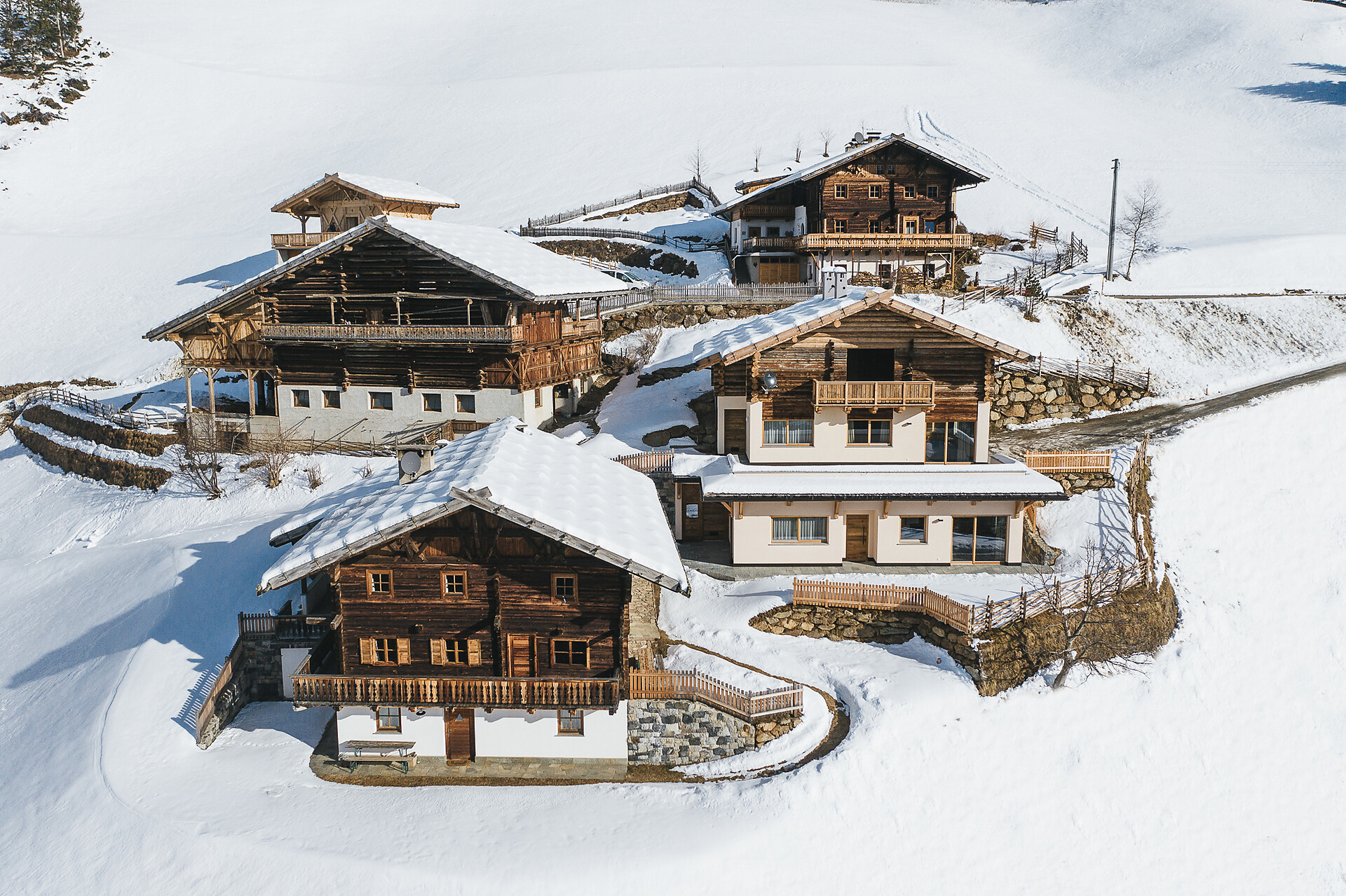 Alpinence