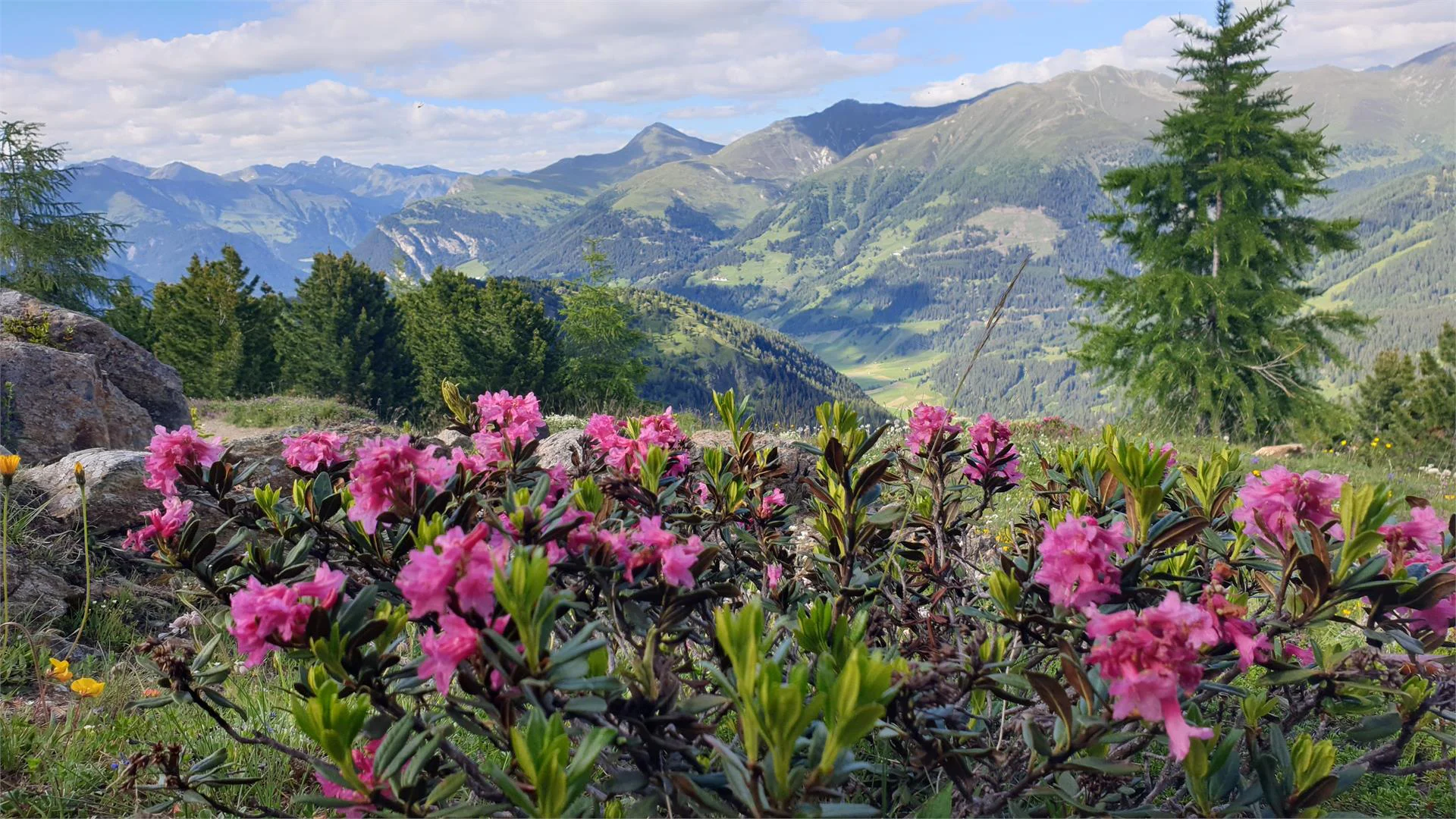 Appartamenti  Erika Curon Venosta 8 suedtirol.info
