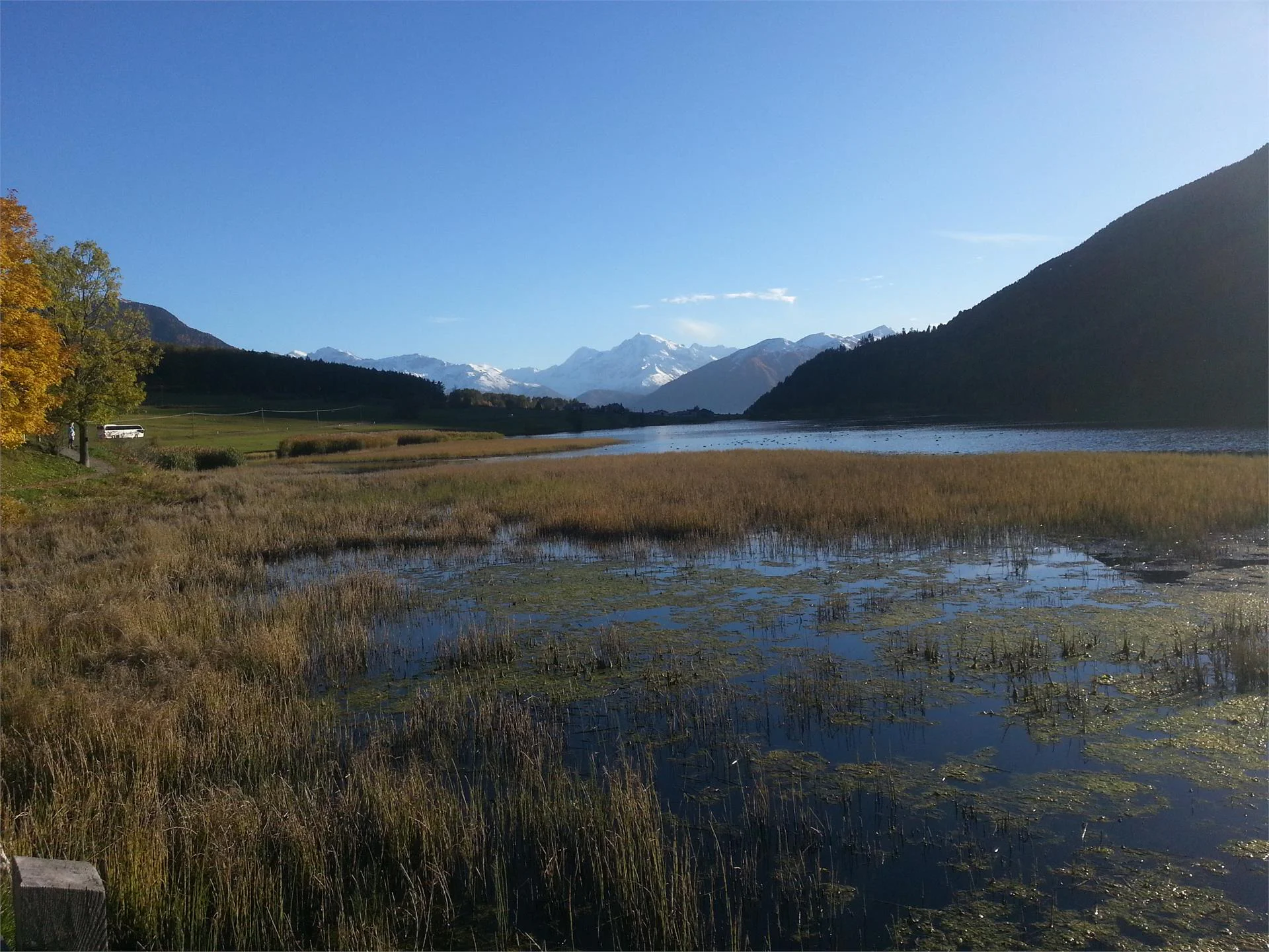Appartamenti  Erika Curon Venosta 12 suedtirol.info