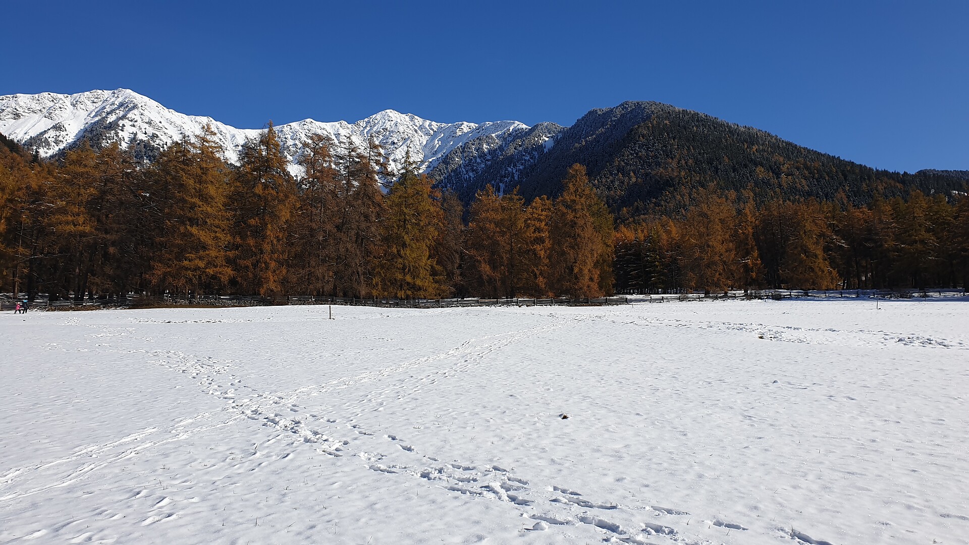 Surroundings