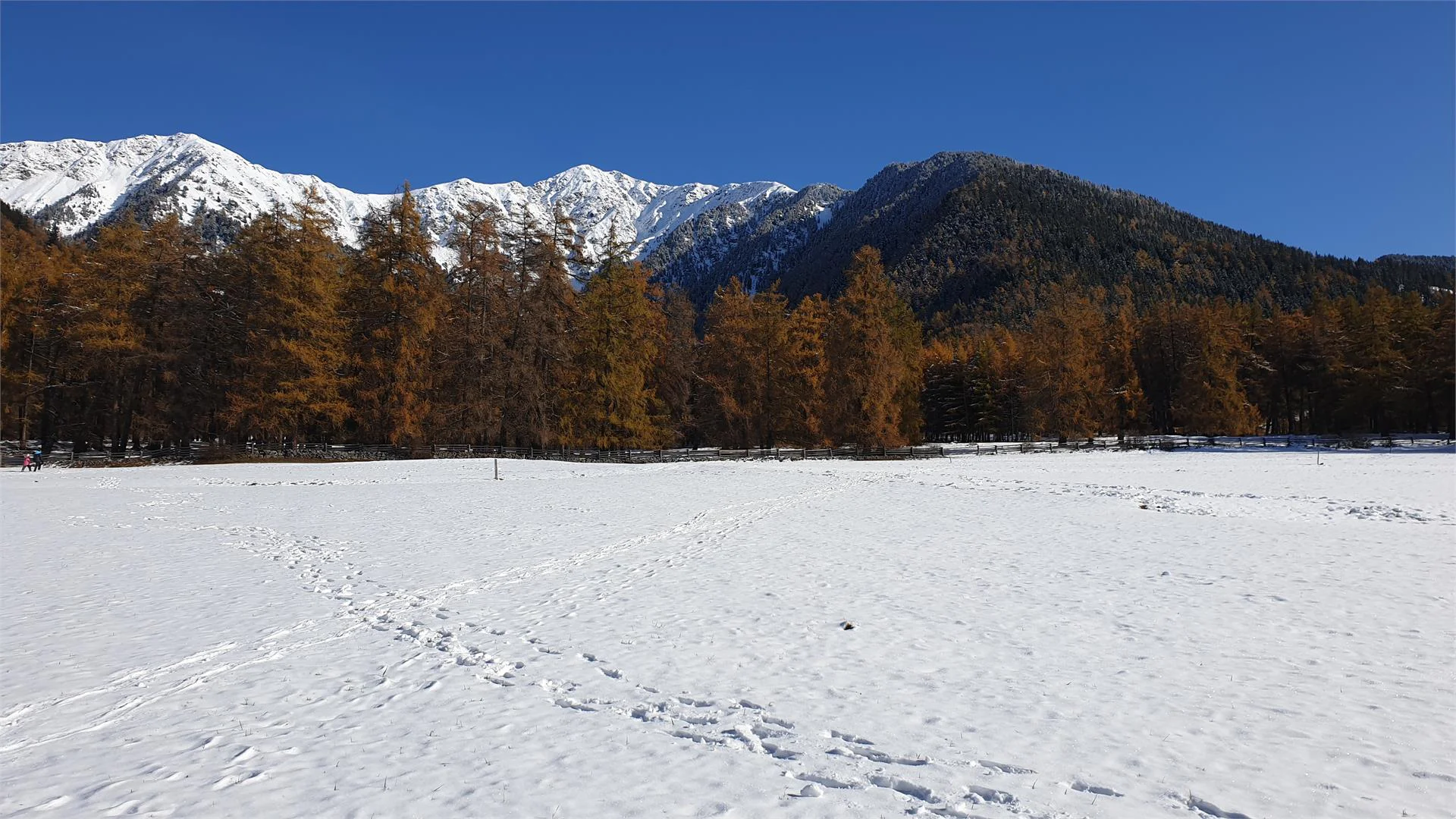 Appartamenti  Erika Curon Venosta 24 suedtirol.info