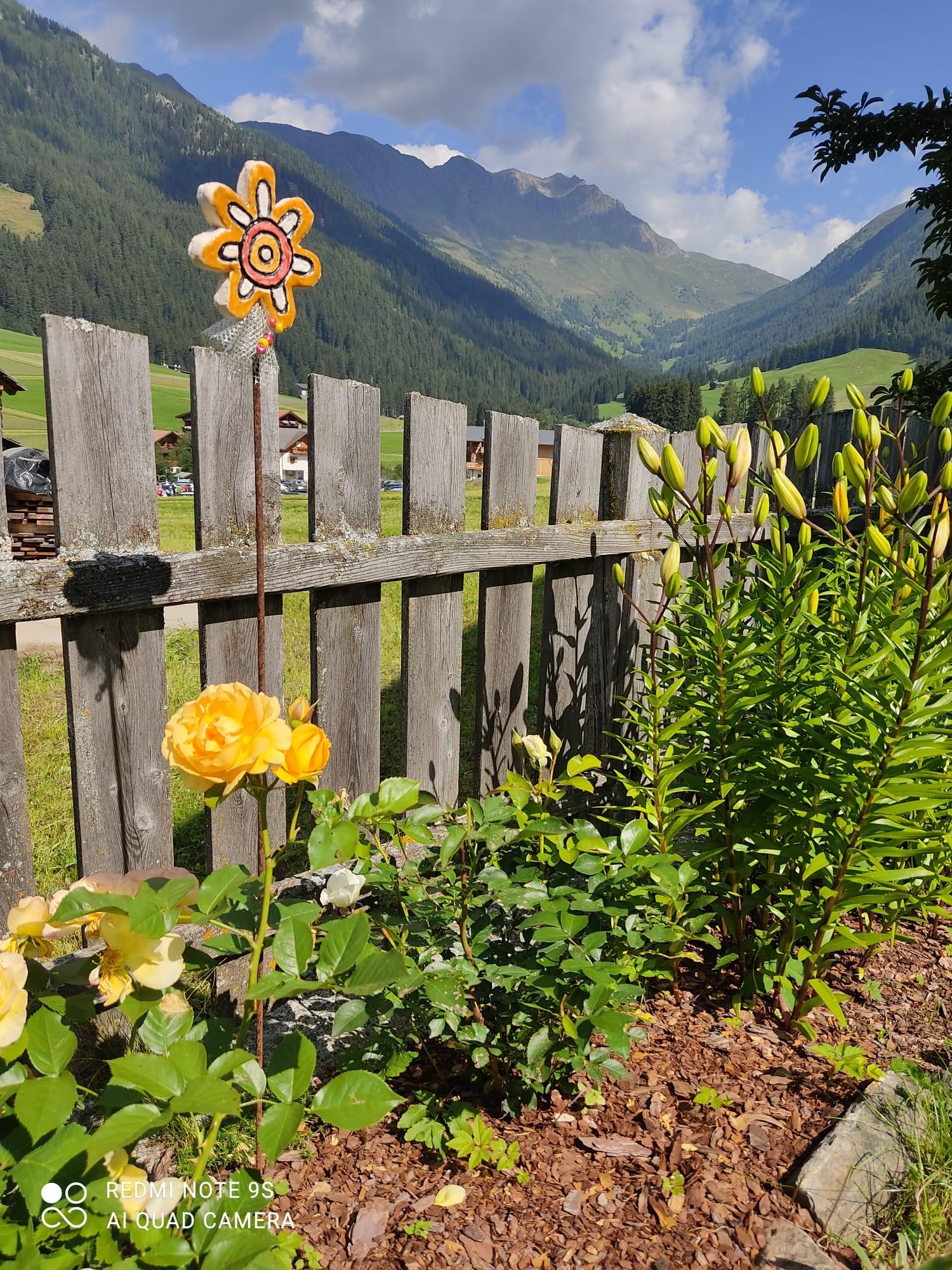 Appartement Pia Valle di Casies 15 suedtirol.info