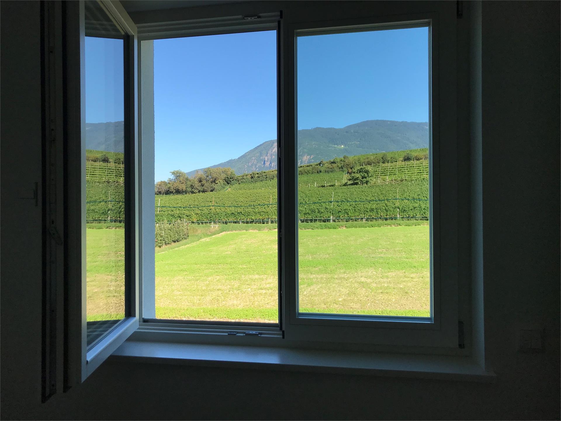 Apartment Azalea Appiano sulla Strada del Vino 11 suedtirol.info