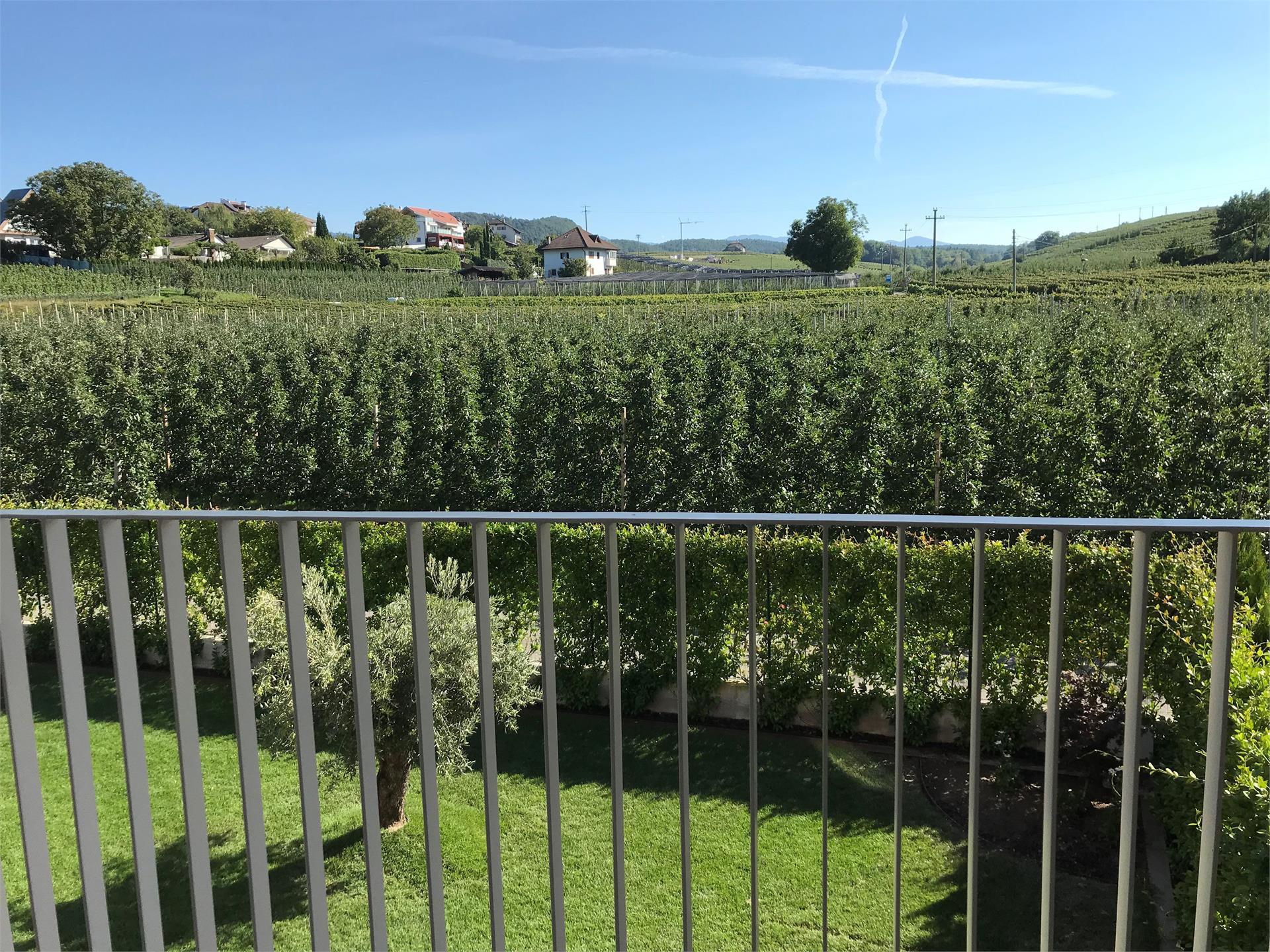 Apartment Azalea Appiano sulla Strada del Vino 16 suedtirol.info