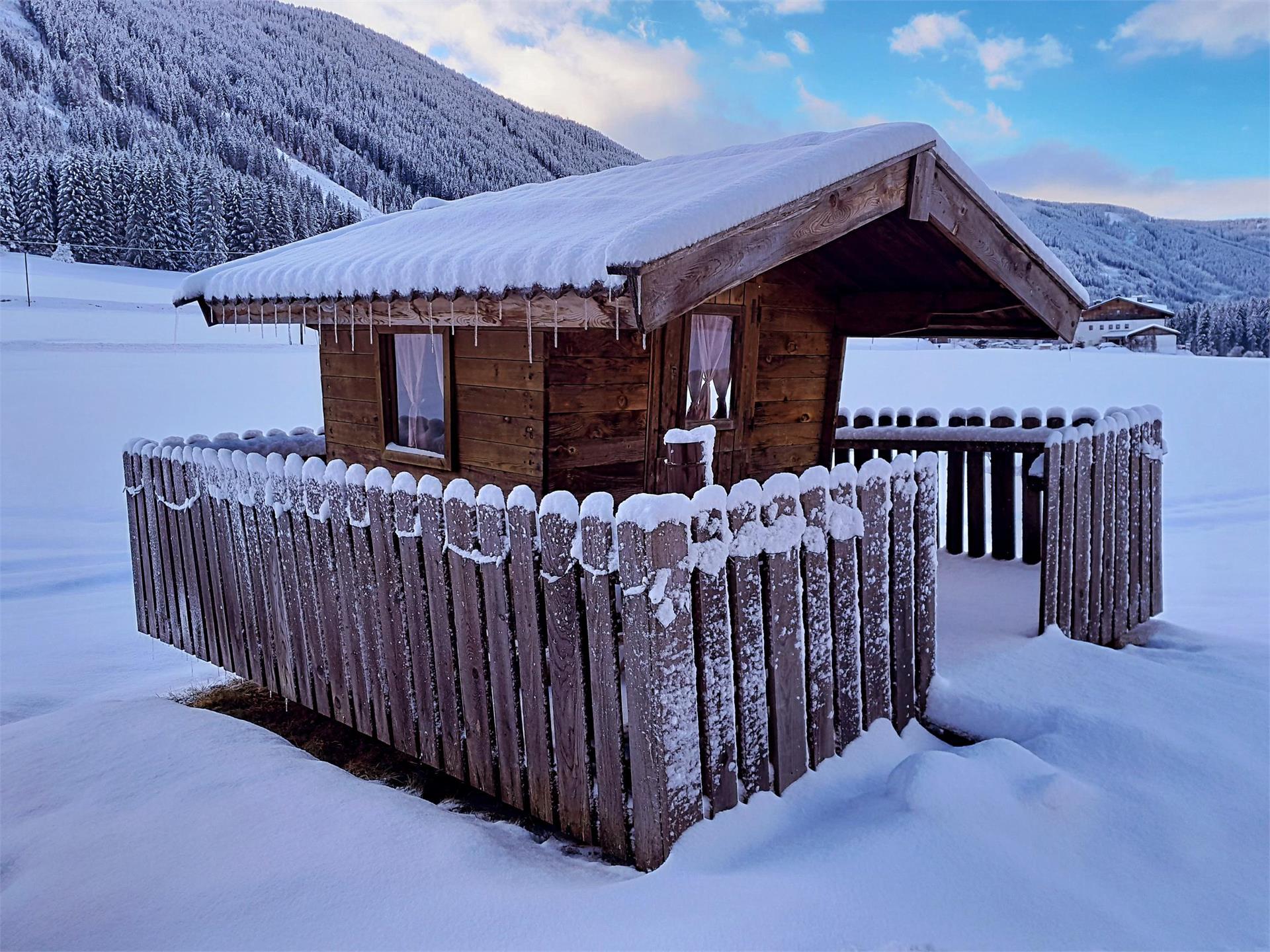 Althuberhof Gsies/Valle di Casies 2 suedtirol.info