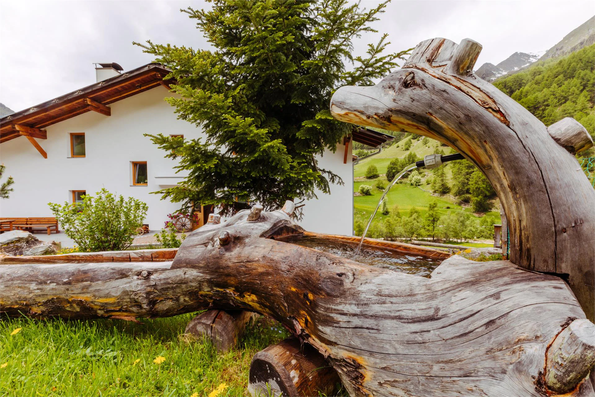 Ausserglieshof - Weisenhorn Malles 14 suedtirol.info