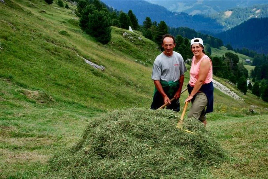 Apartments Ciasa Medalghes - Farm holiday San Martin /San Martino 12 suedtirol.info