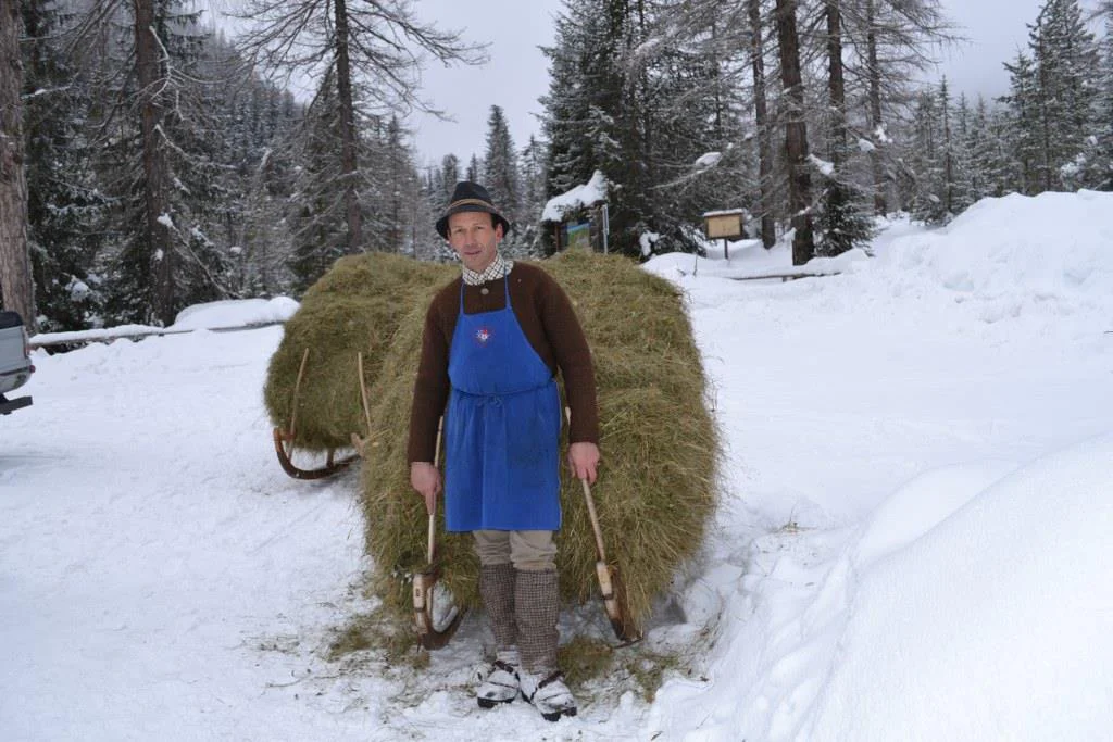 Apartments Ciasa Medalghes - Farm holiday San Martin /San Martino 17 suedtirol.info