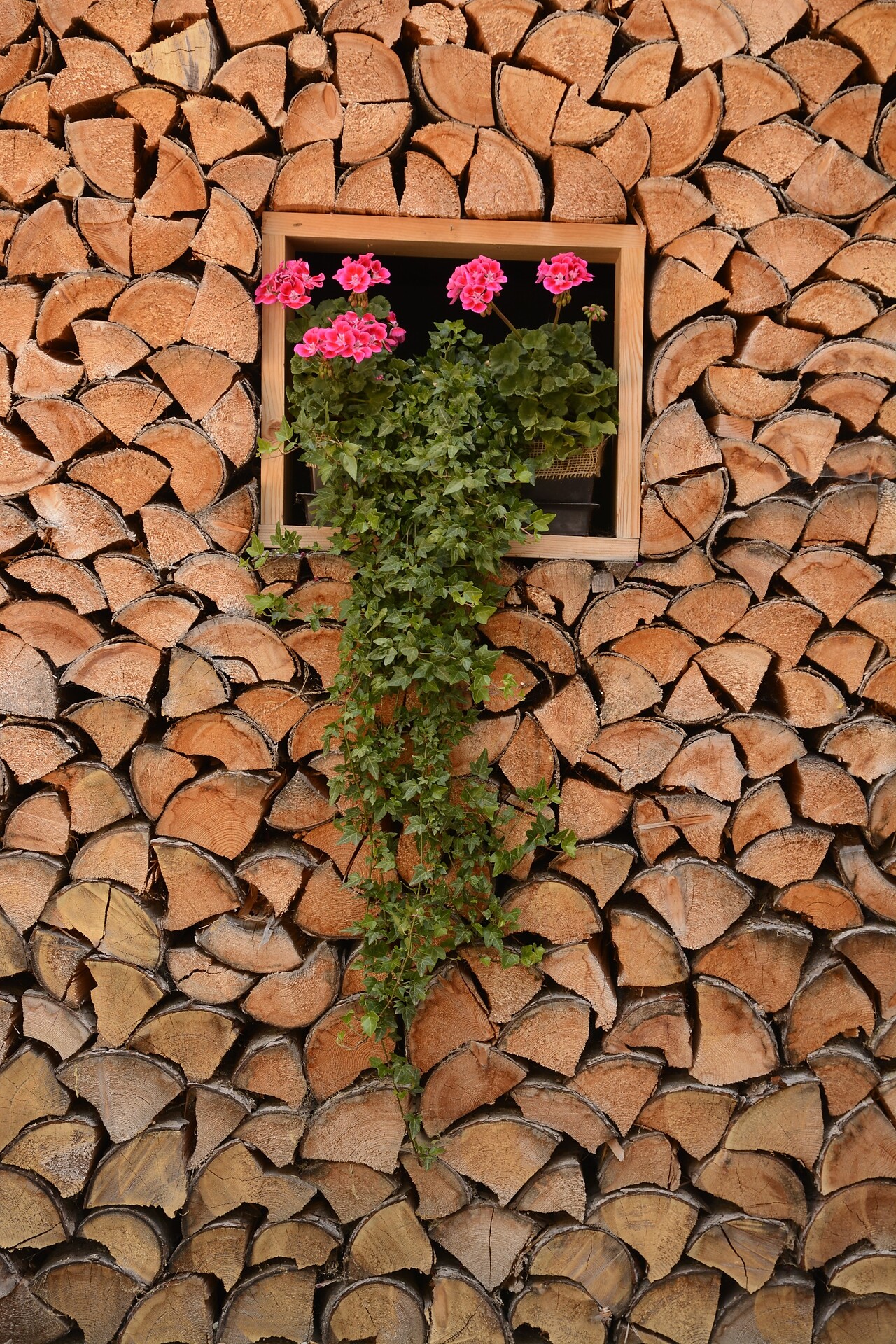 Blumen