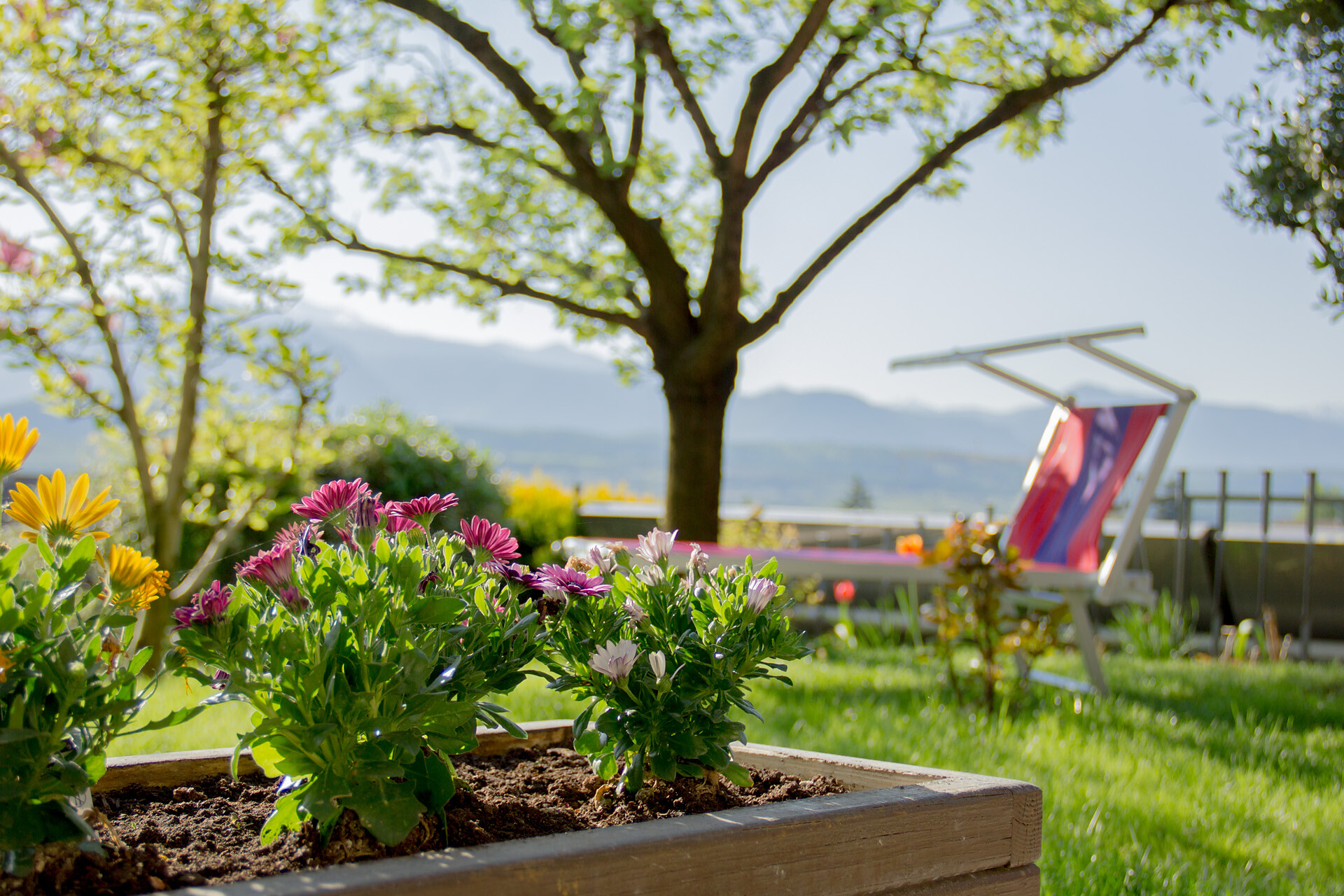 Gepflegter Garten