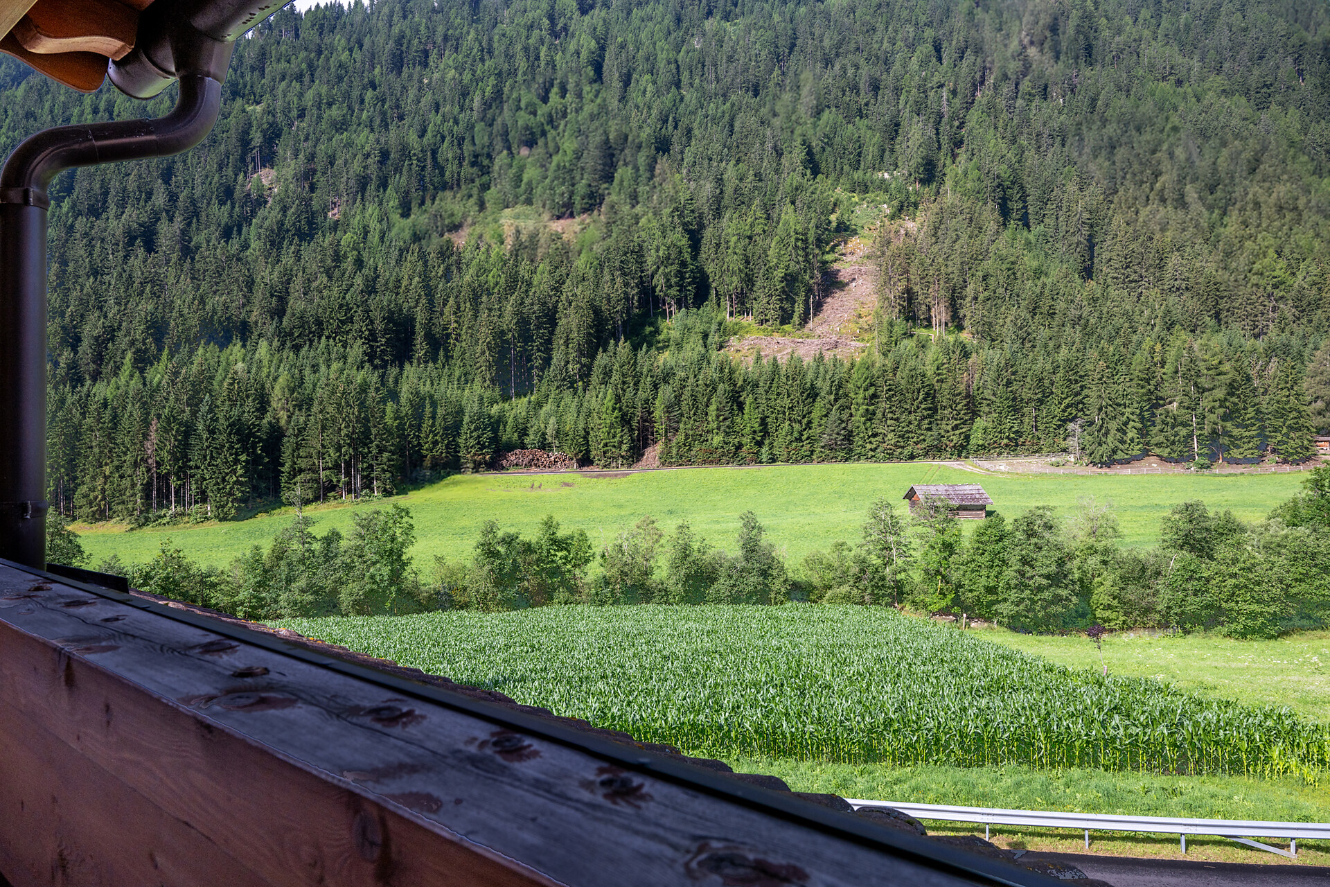 Wieserhof