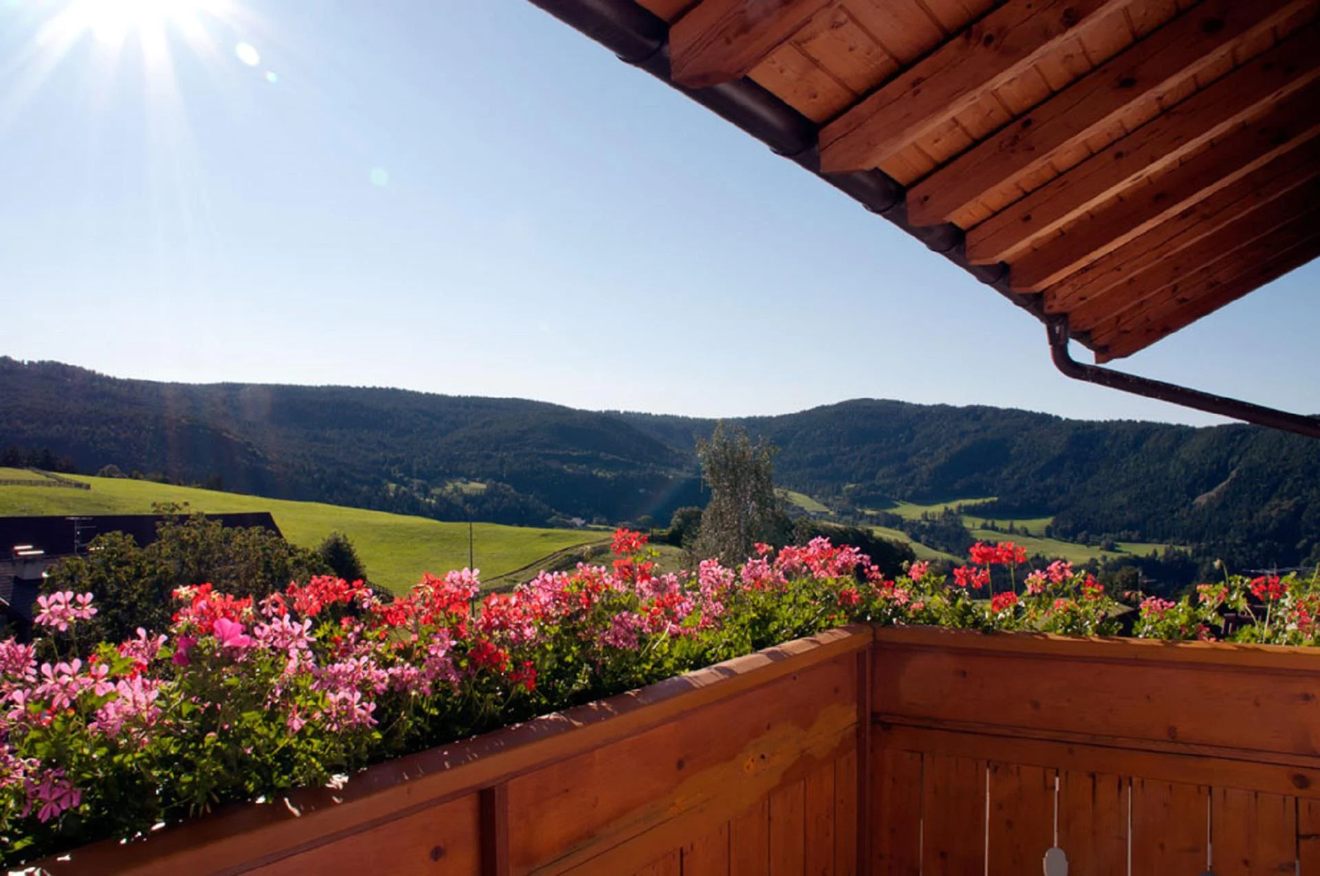 Appartements Tratter Mölten 9 suedtirol.info