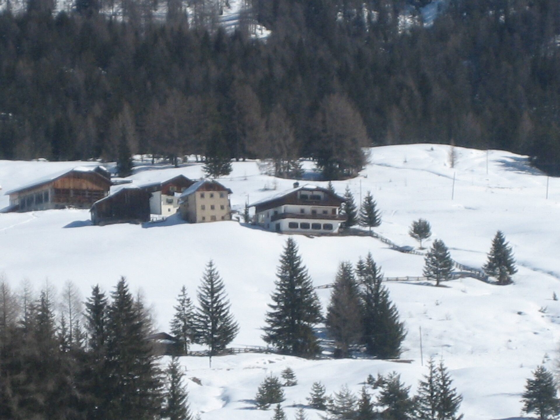 winter on Larcenei