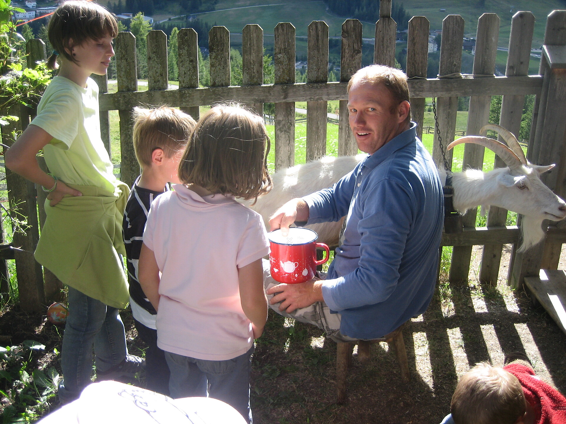Fun for young and old ; milking goats