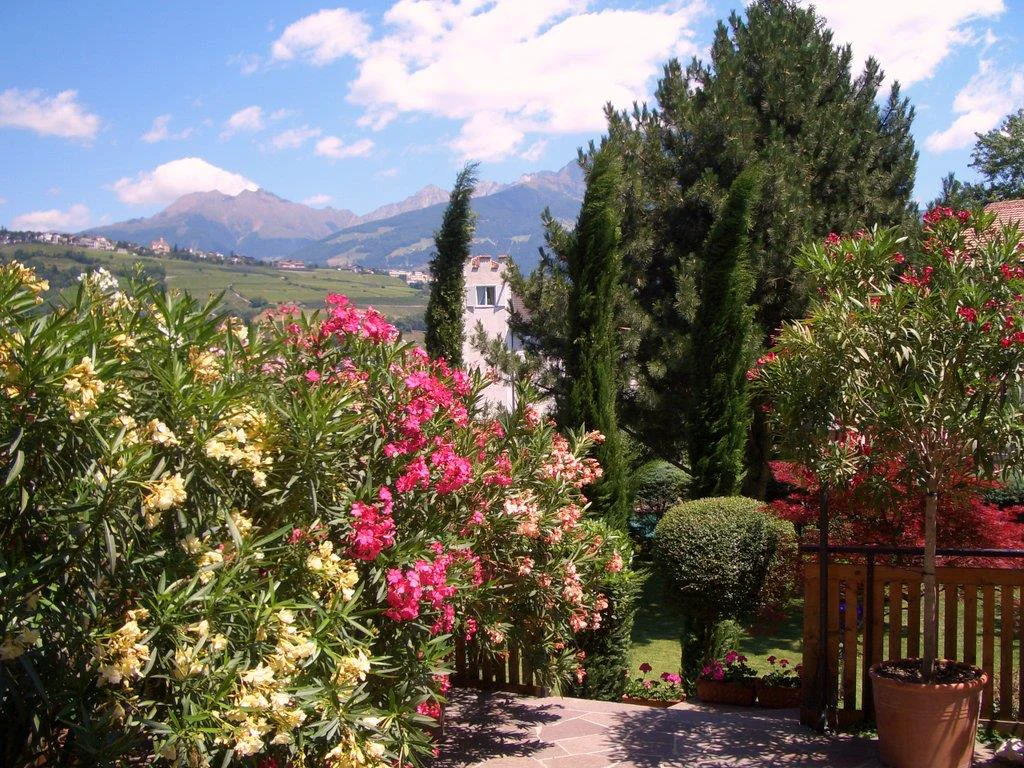 Apartment Wolf Lagundo 10 suedtirol.info