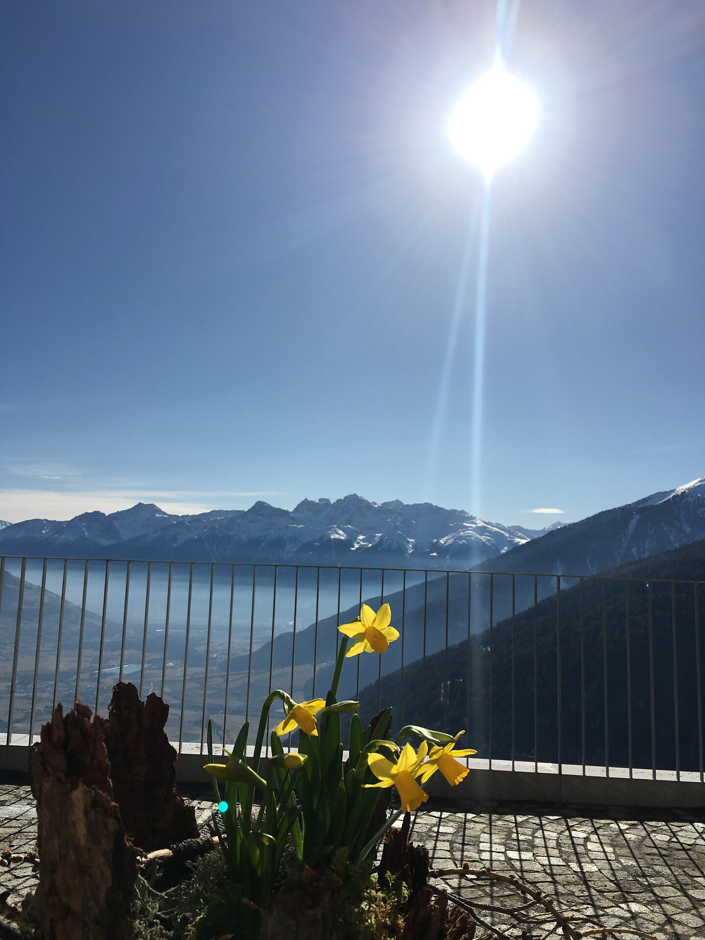 Vista