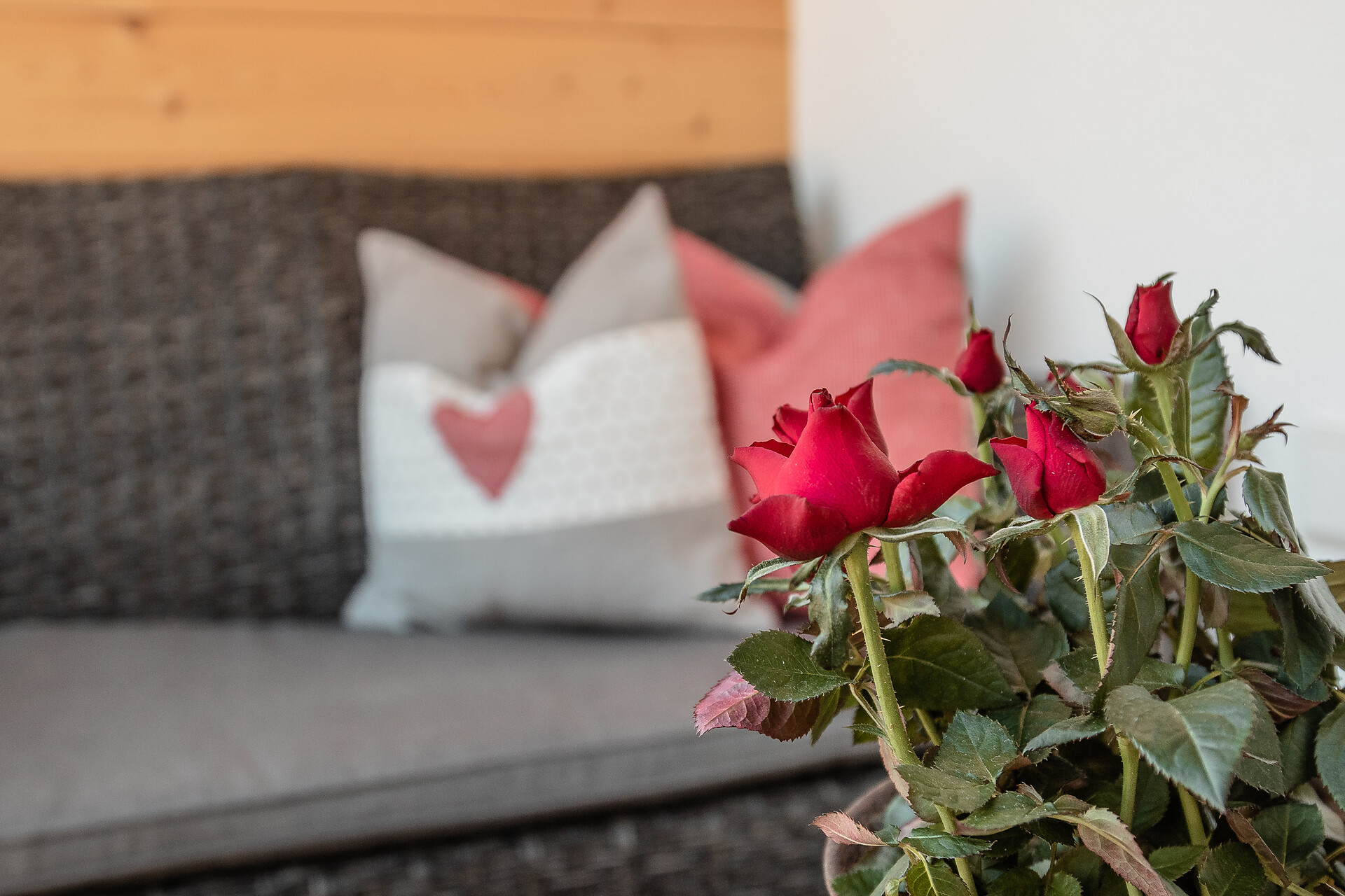 Chalet Morin
