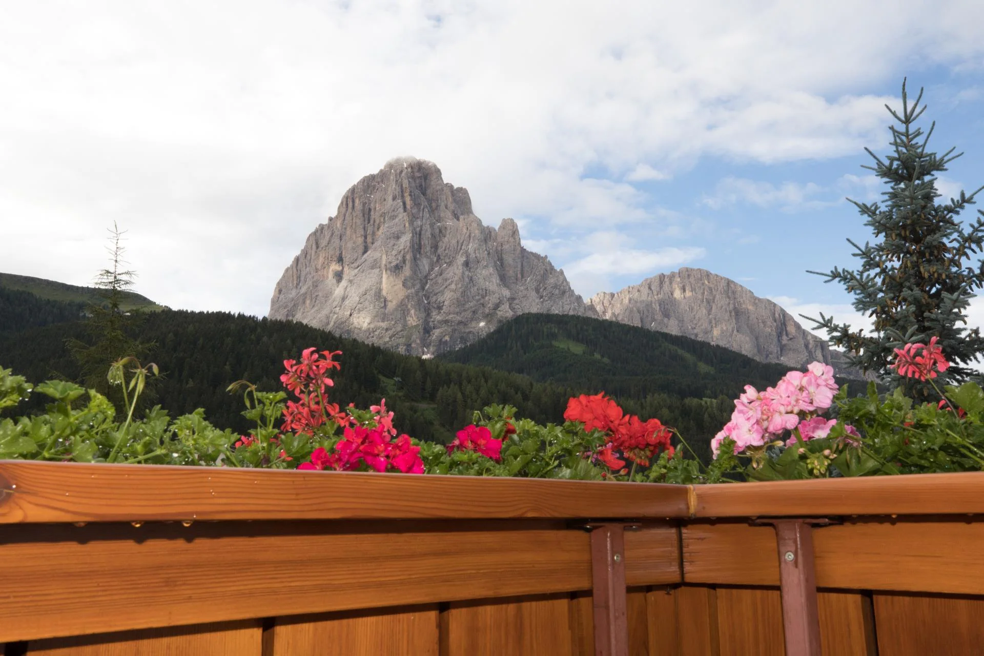 Apartments L'Antina S.Crestina Gherdëina/Santa Cristina Val Gardana 6 suedtirol.info