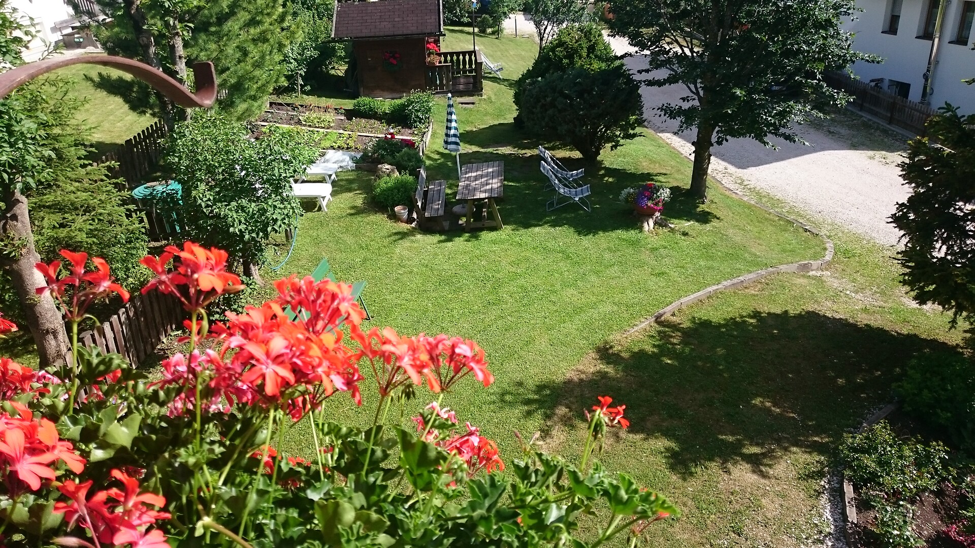 yard