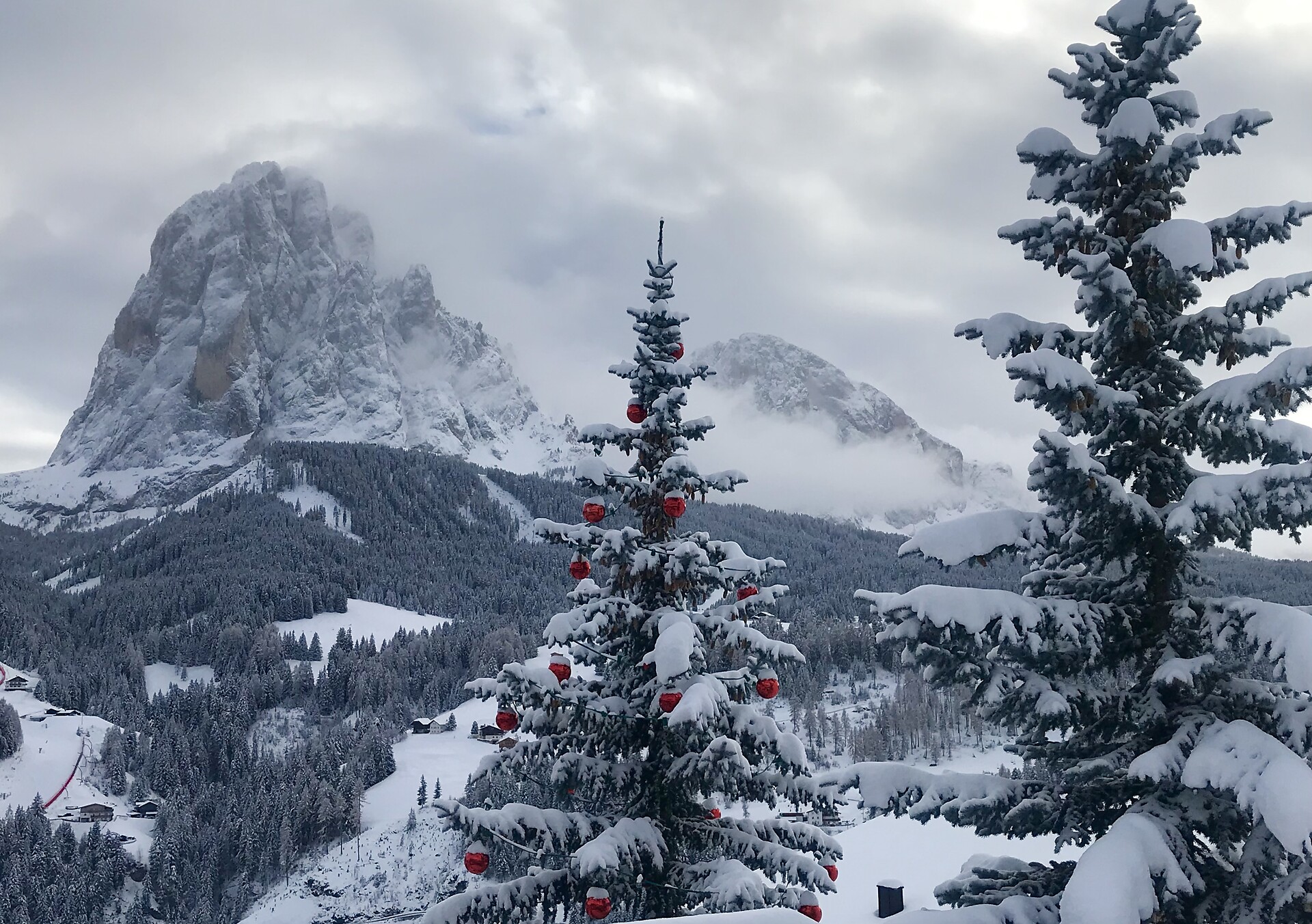 Winter