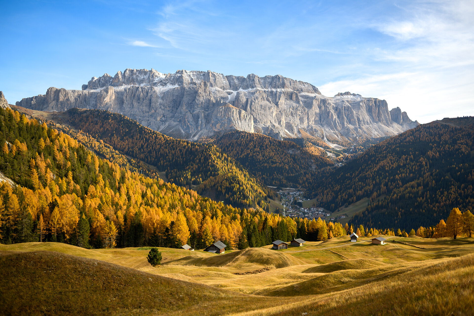 Autumn