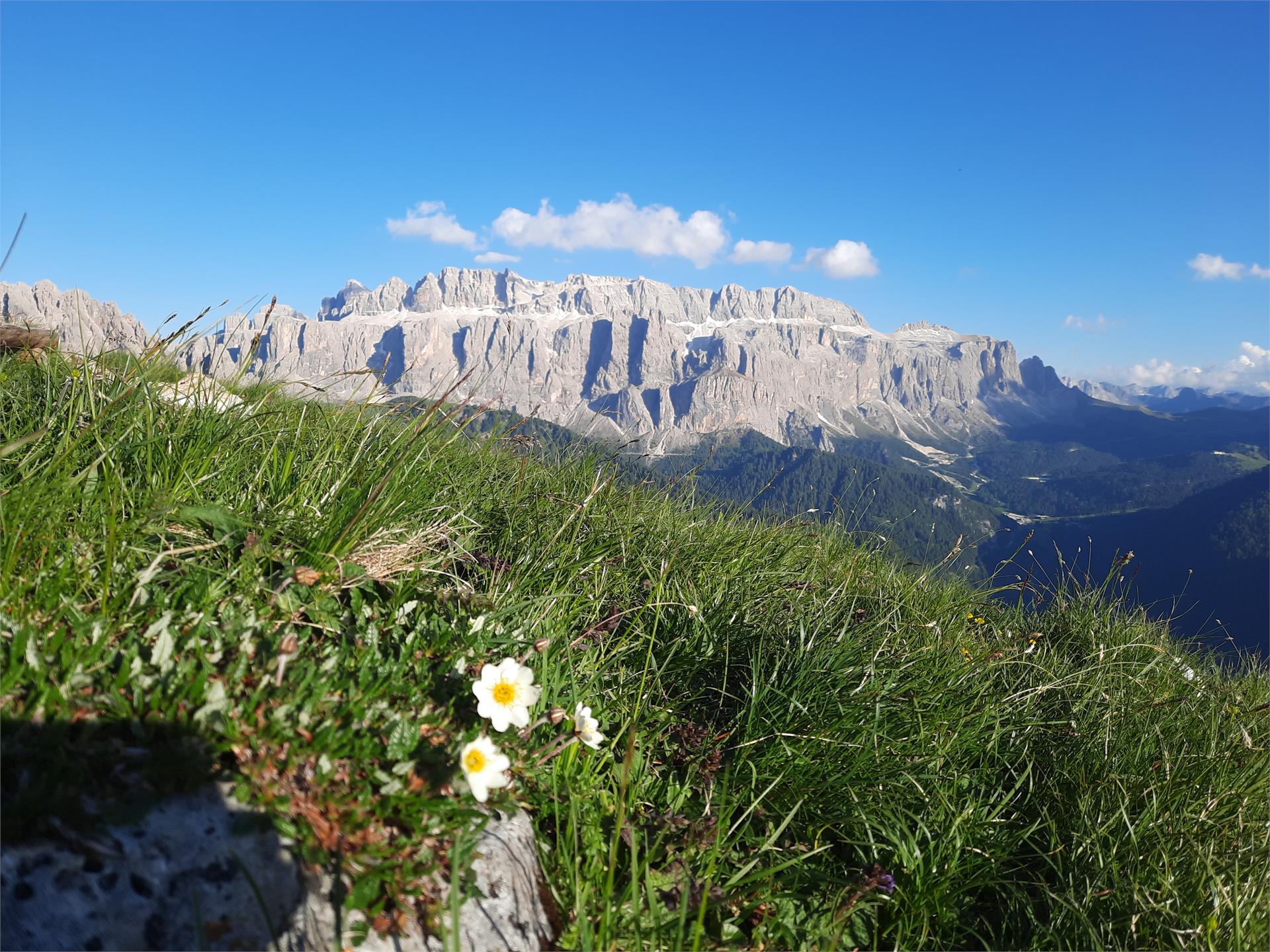 Apartments Romana - Dorothea Sëlva/Selva 9 suedtirol.info