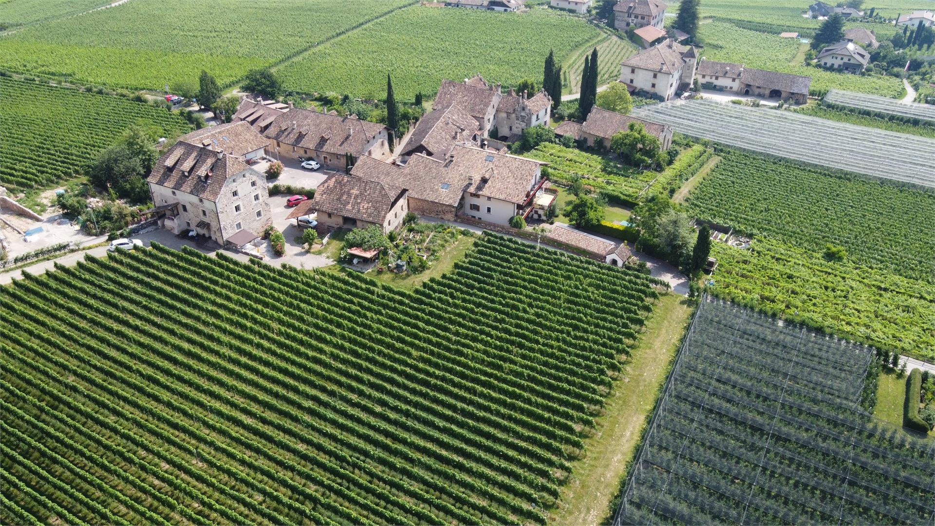 Pratzer Elisabeth Eppan an der Weinstaße/Appiano sulla Strada del Vino 2 suedtirol.info