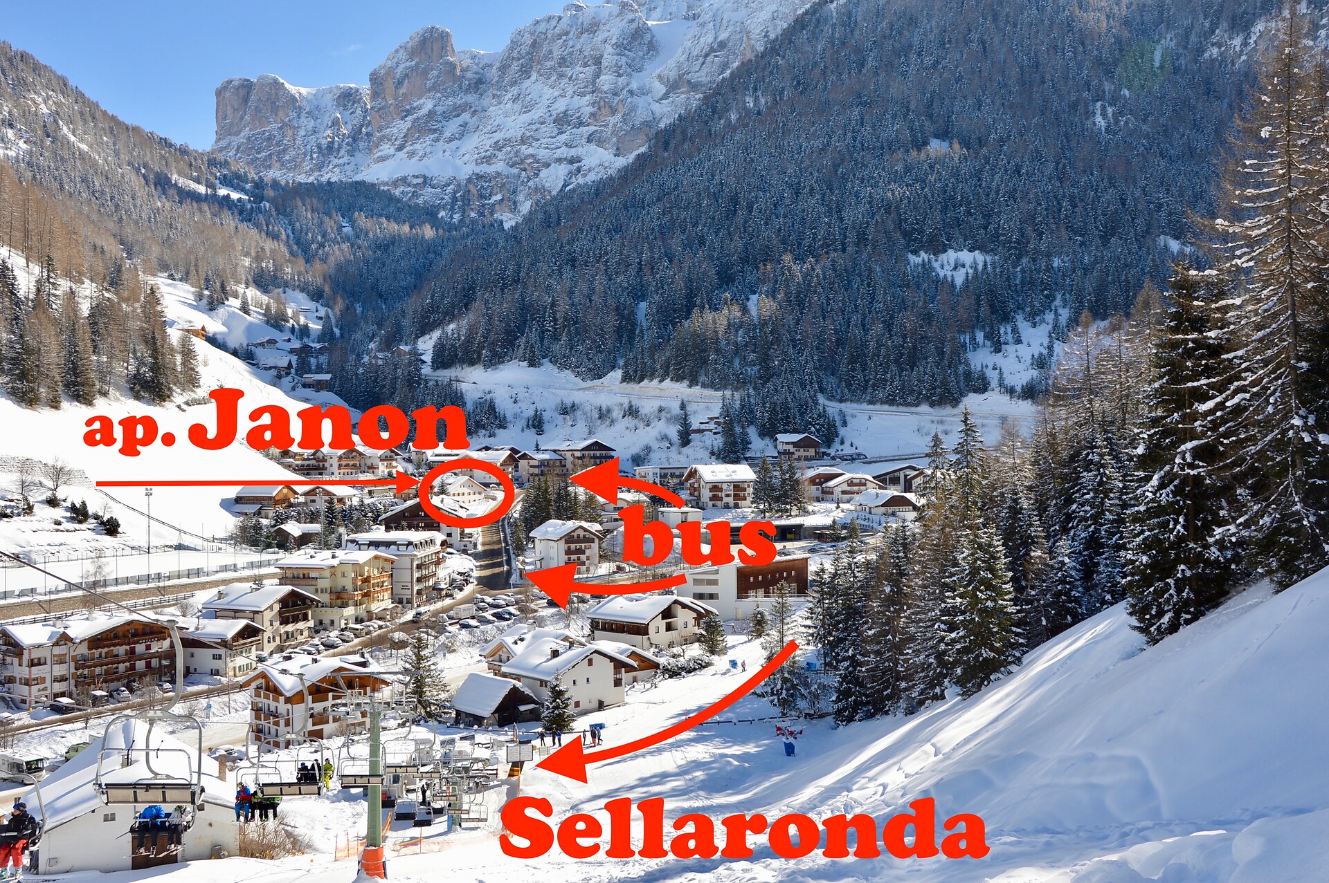 Plan/ Selva