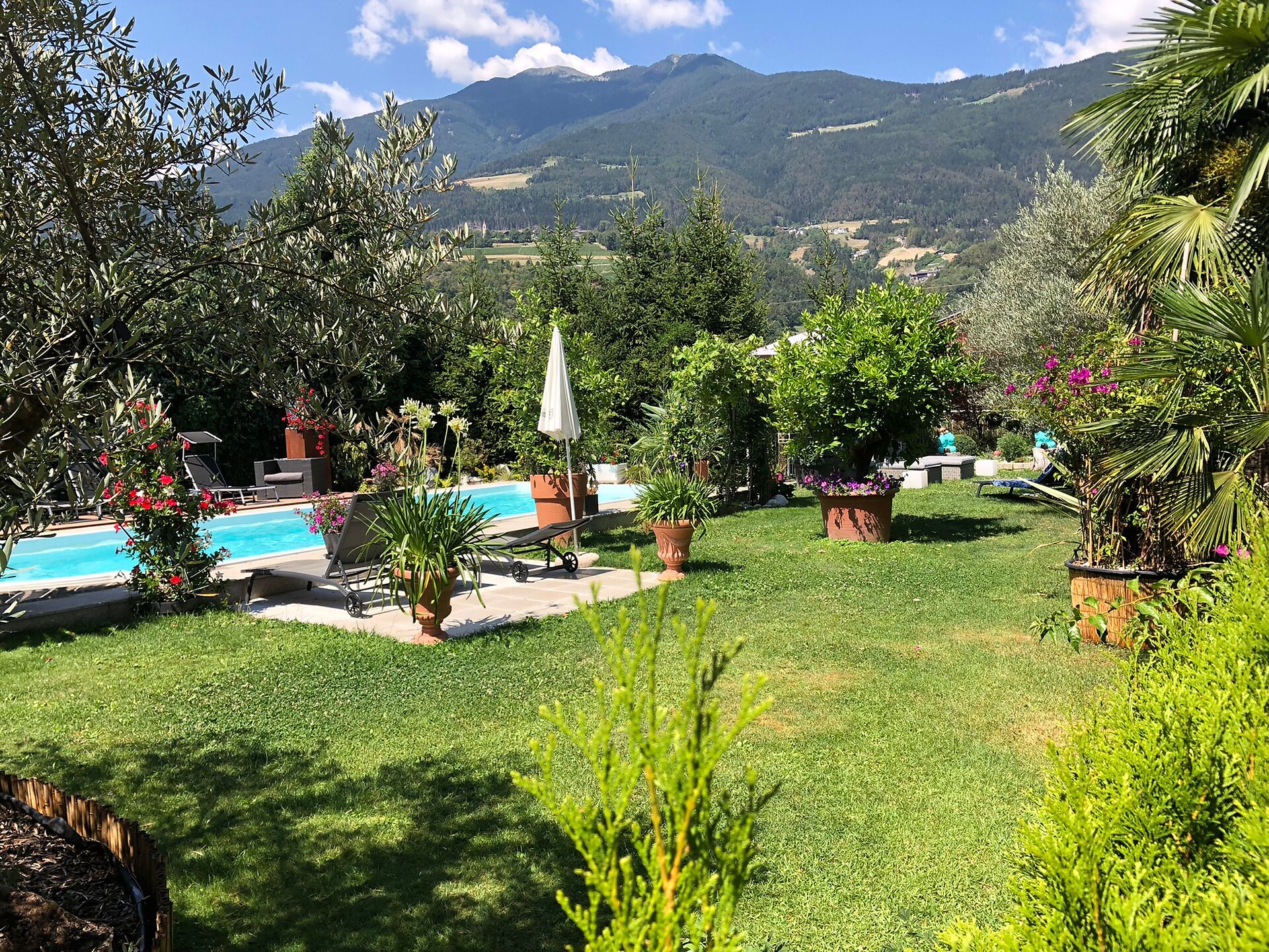 Giardino con piscina