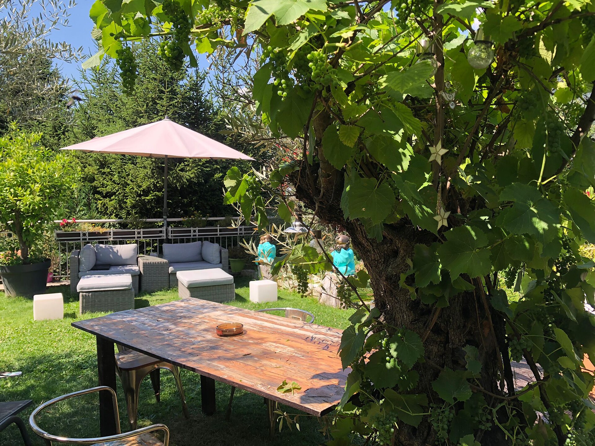 Giardino