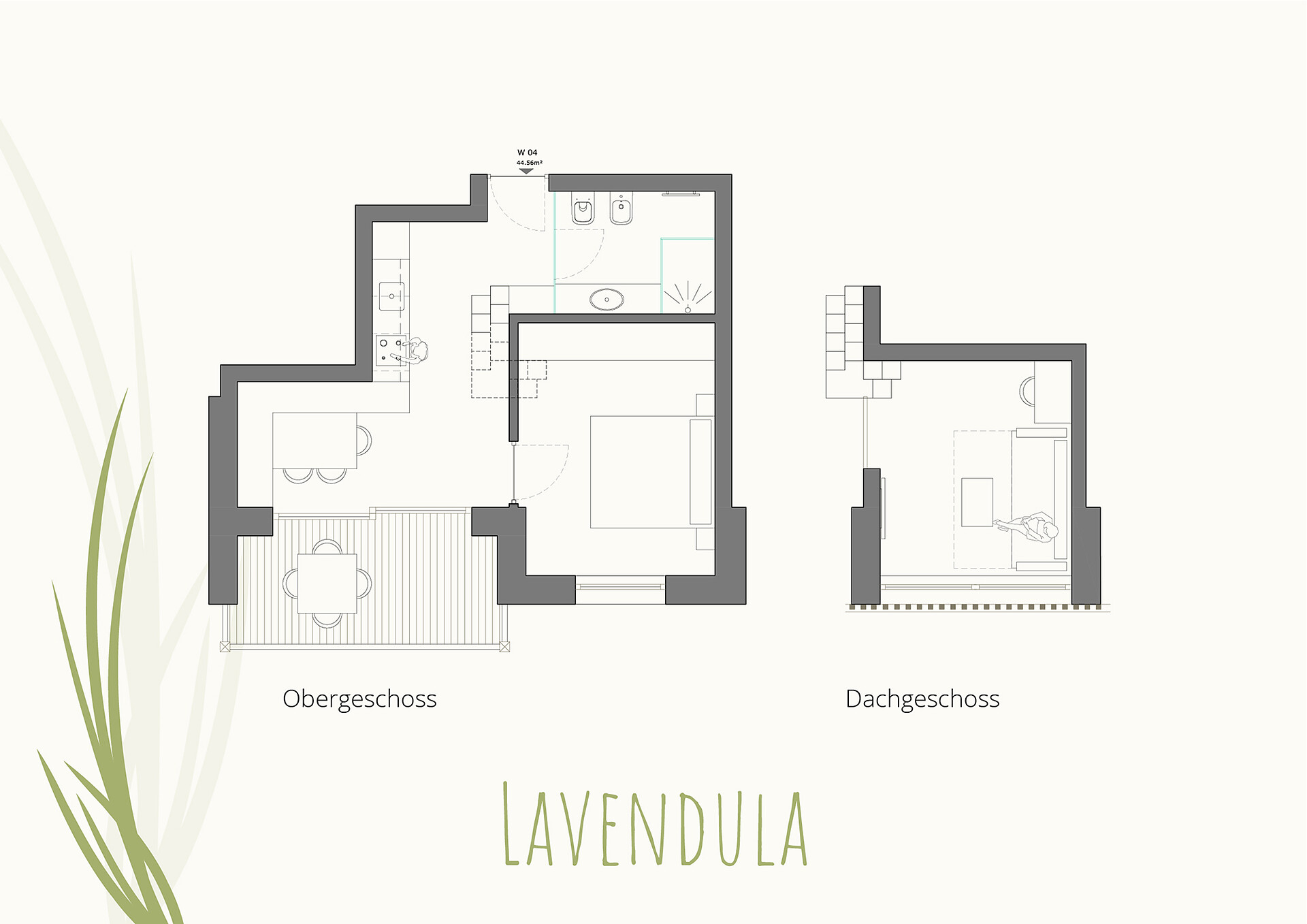 Lavendula_2