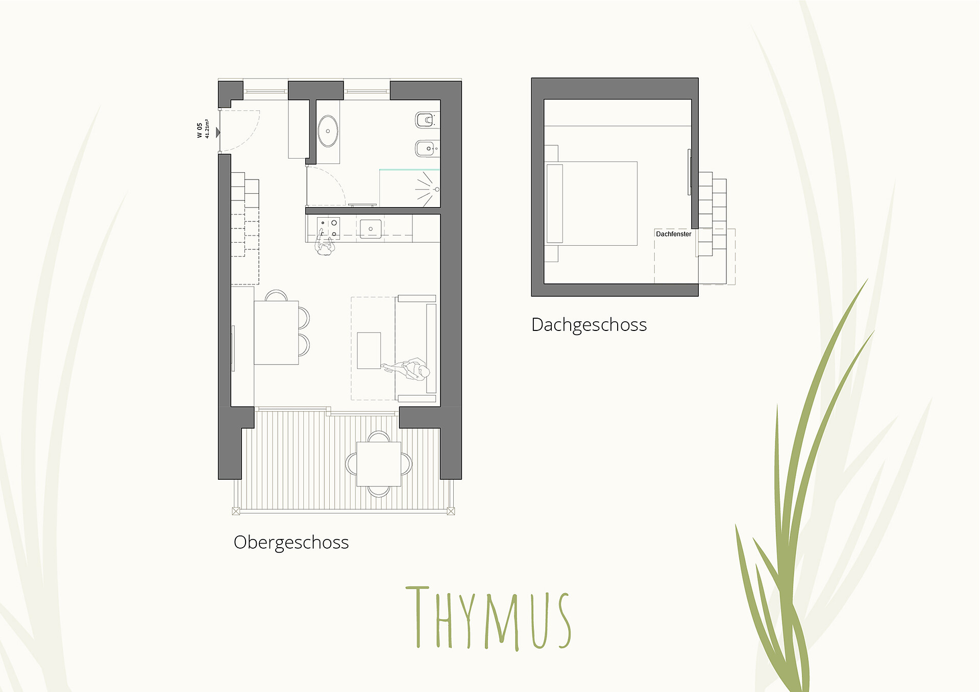 Thymus