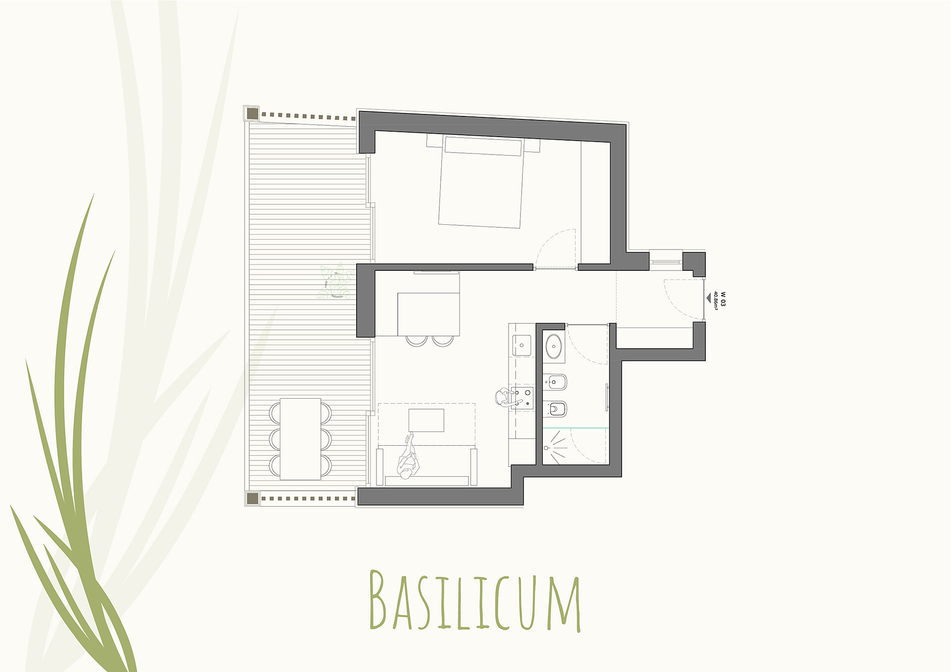 Basilicum