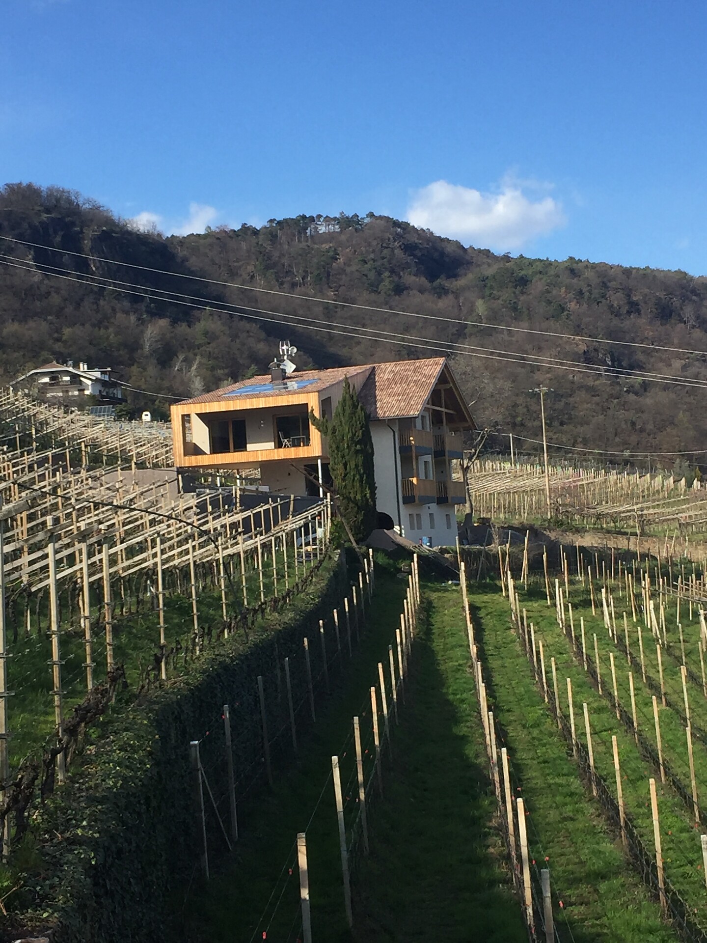 Aromis Apartments - Alto Adige Wine Road - #4 - suedtirol.info