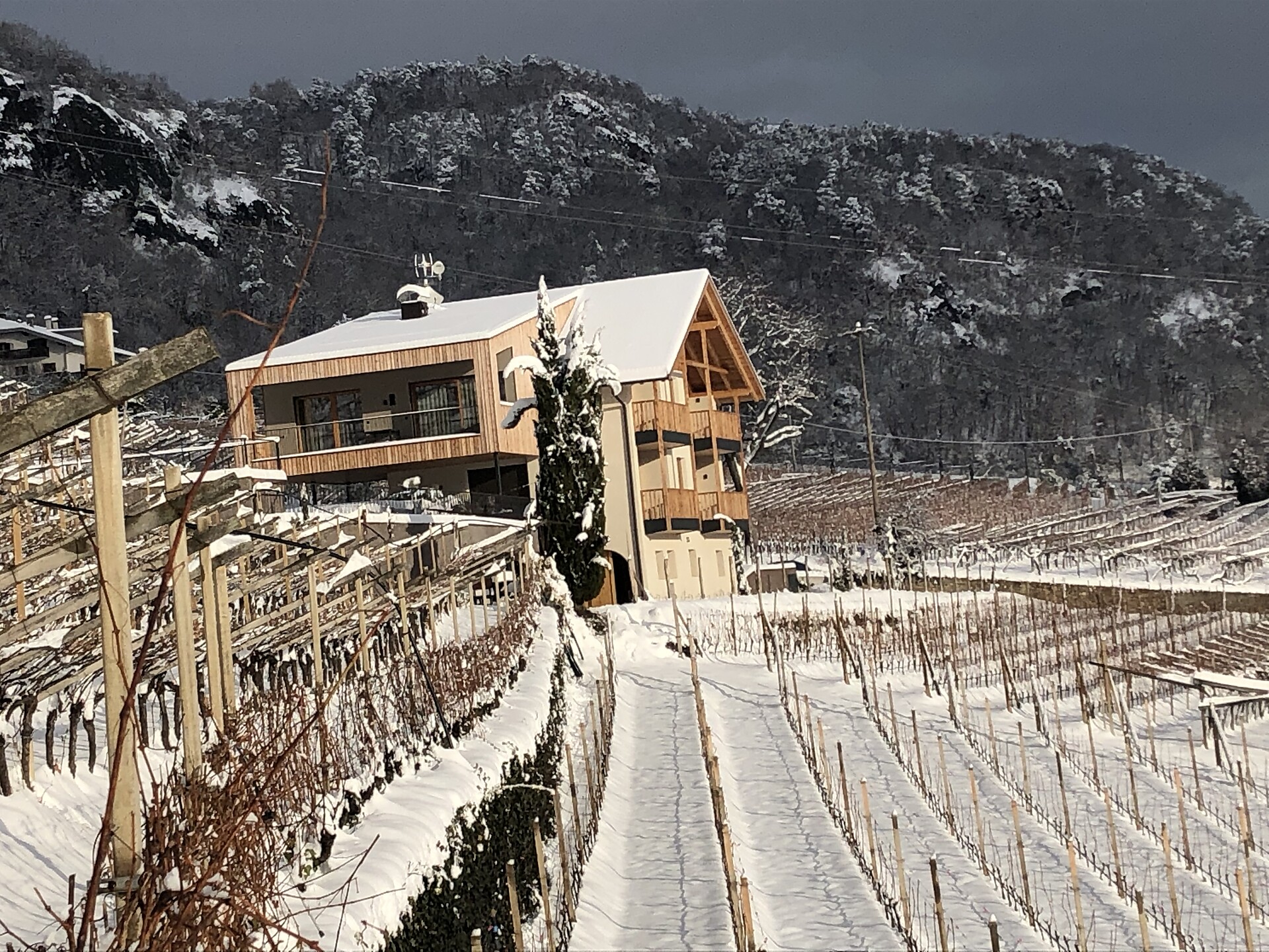 Aromis Apartments Inverno