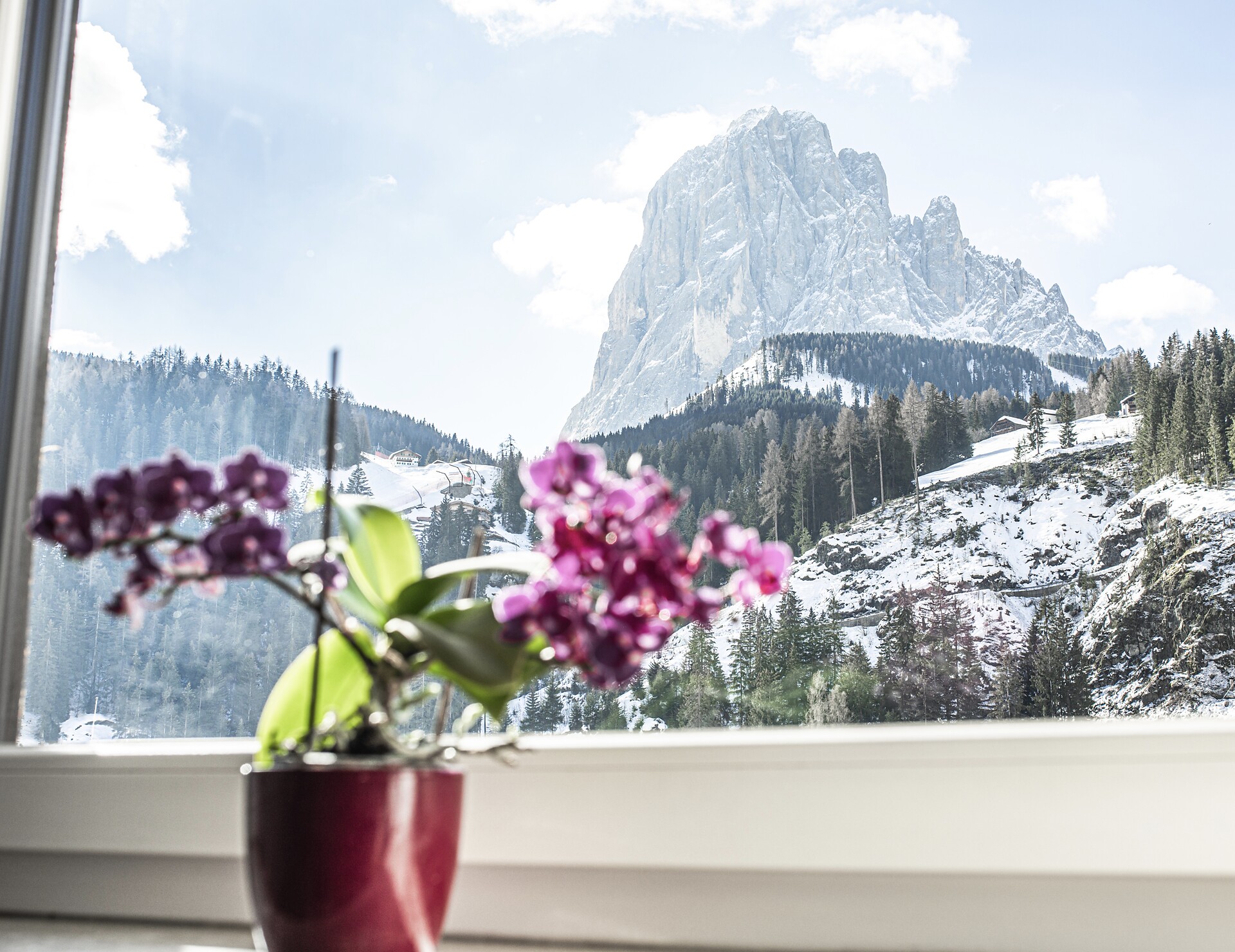 kitchen window
